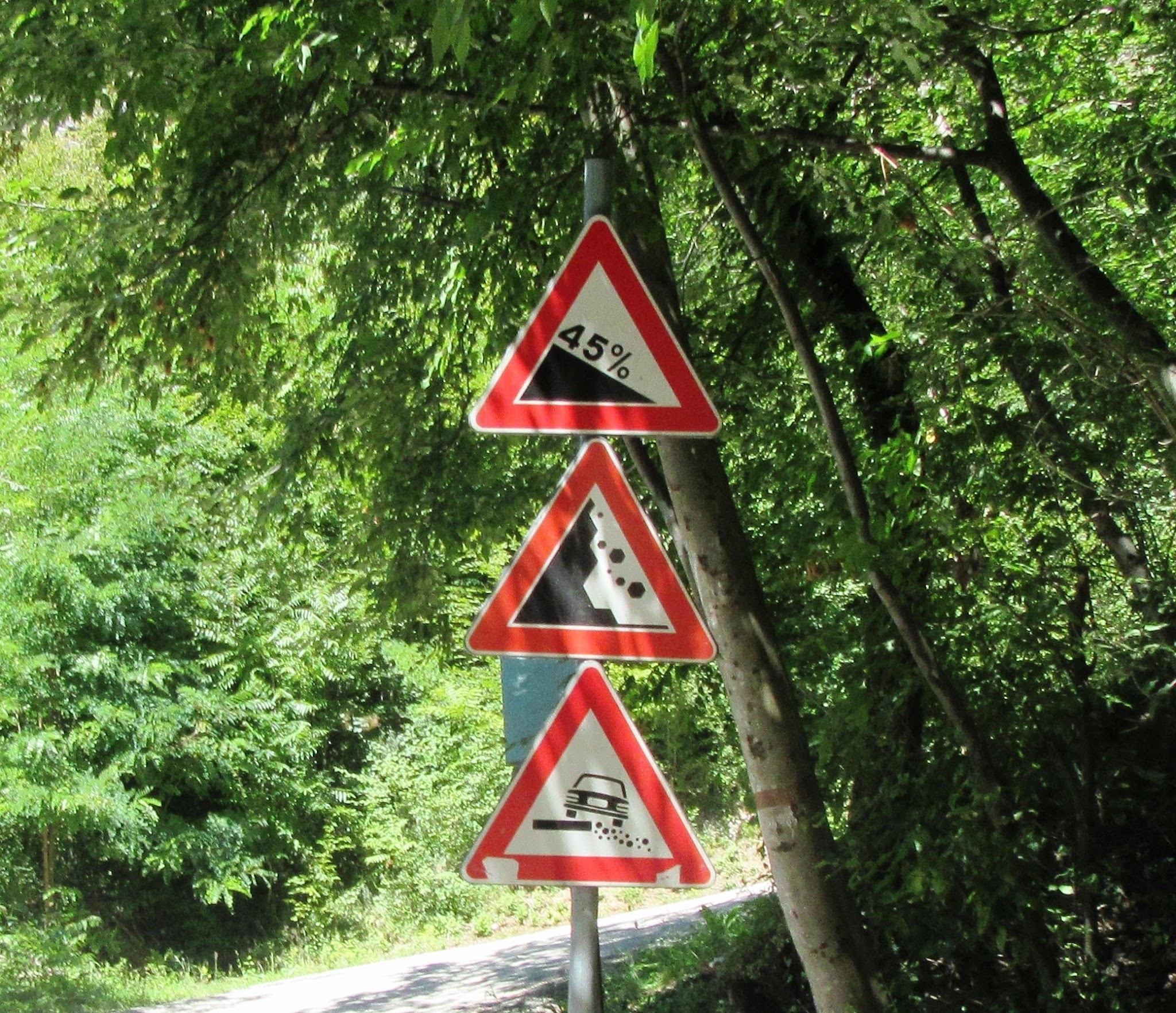 Cycling Top World Bike Climbs  - Scanuppia road sign 45% - road and trees