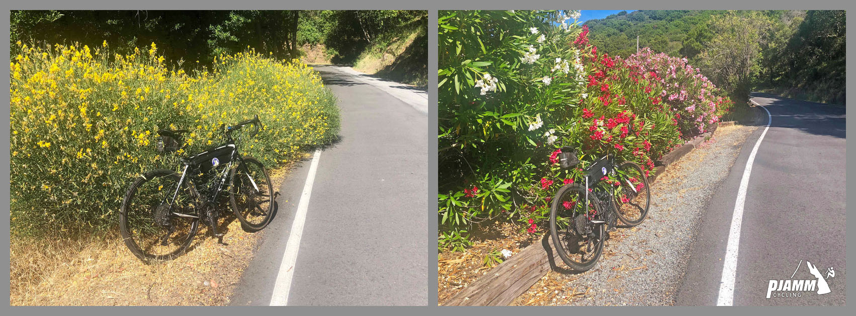 Cycling Soda Springs, Road, Los Gatos, California - bike parked next to colorful flowers on roadside