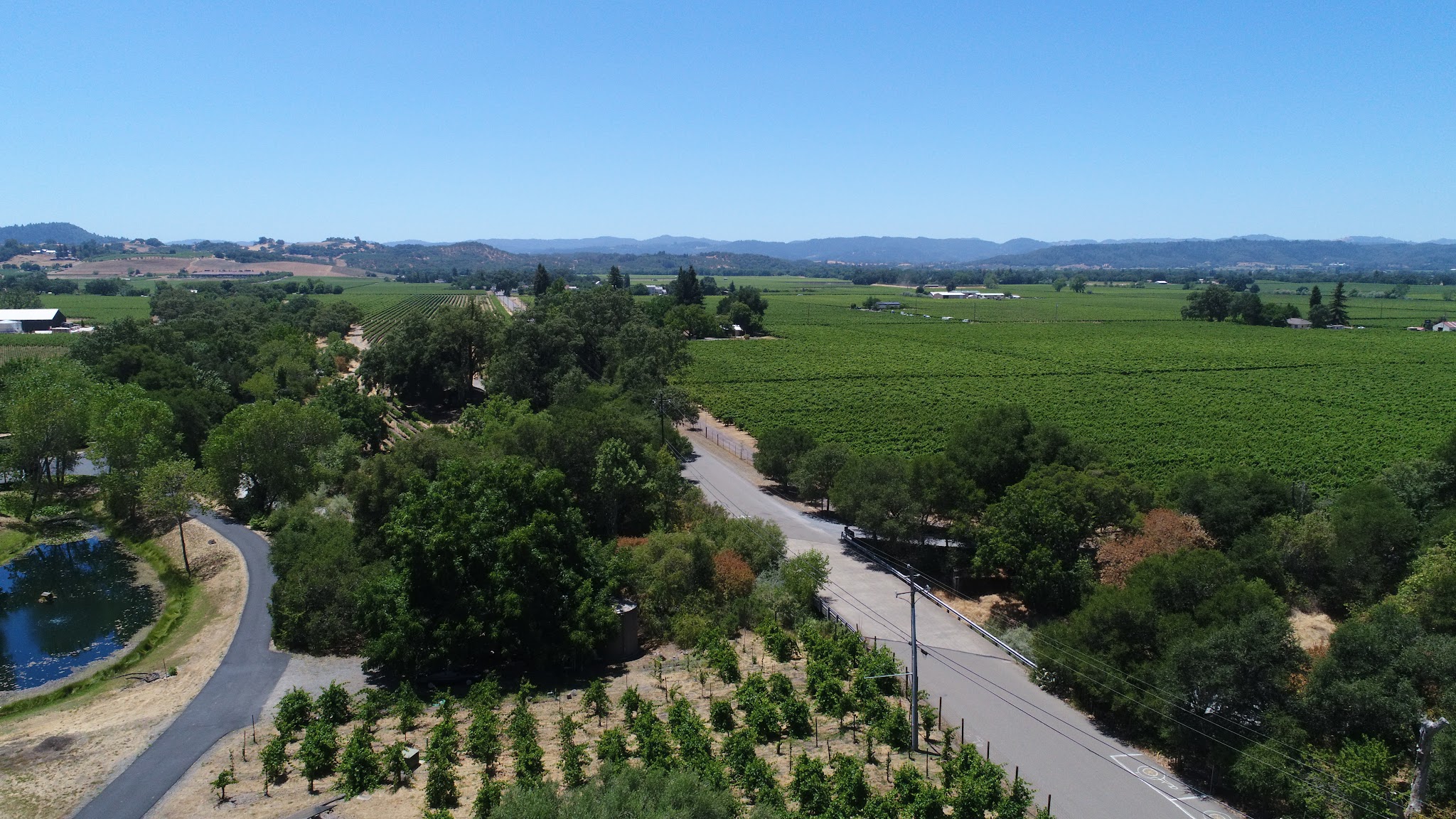 Bike ride up Pine Flat Road - aerial drone photo of start and vineyards