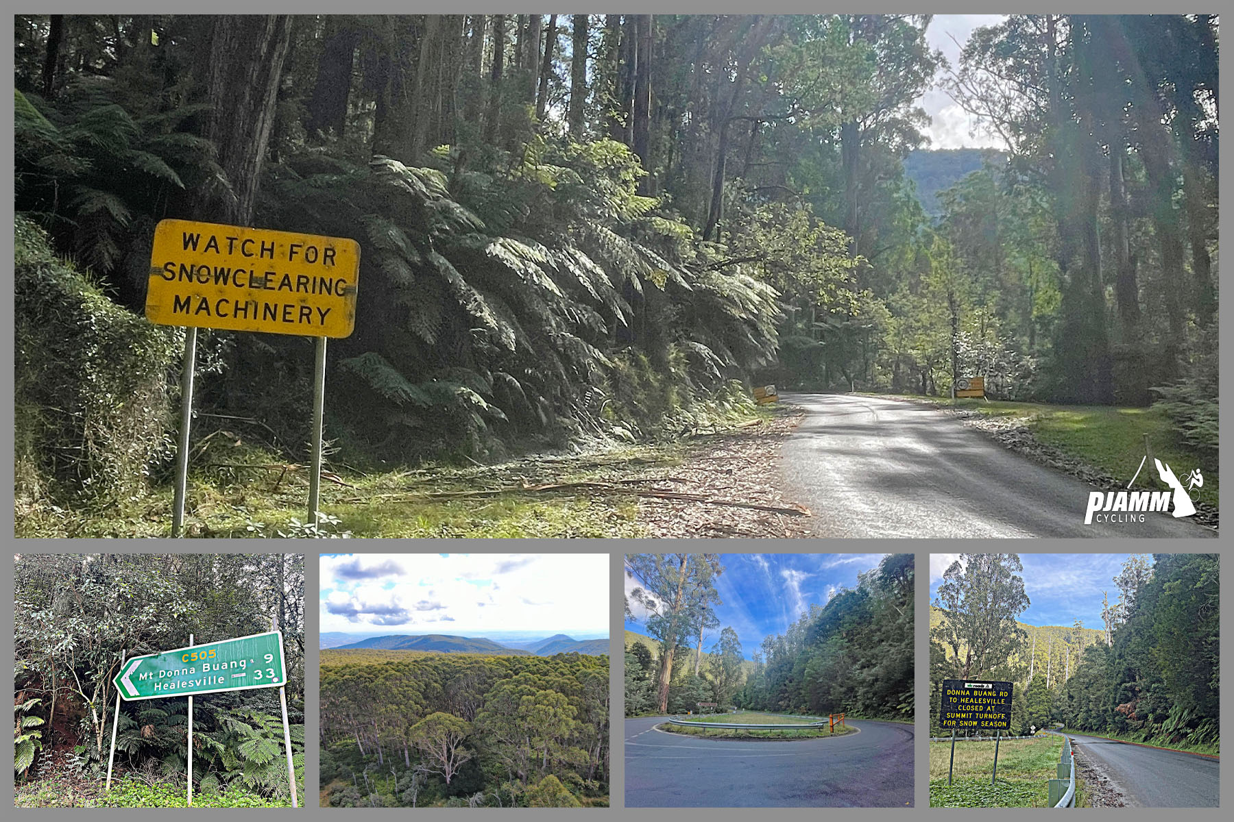 Cycling Donna Buang, Victoria, Australia photo collage shows dense forest and fern-lined roadways