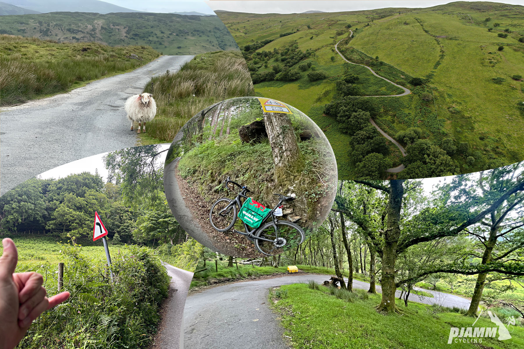 Cycling The Cowlyd, Wales photo collage shows green hillsides along climb, steep switchback road, shaggy sheep in roadway