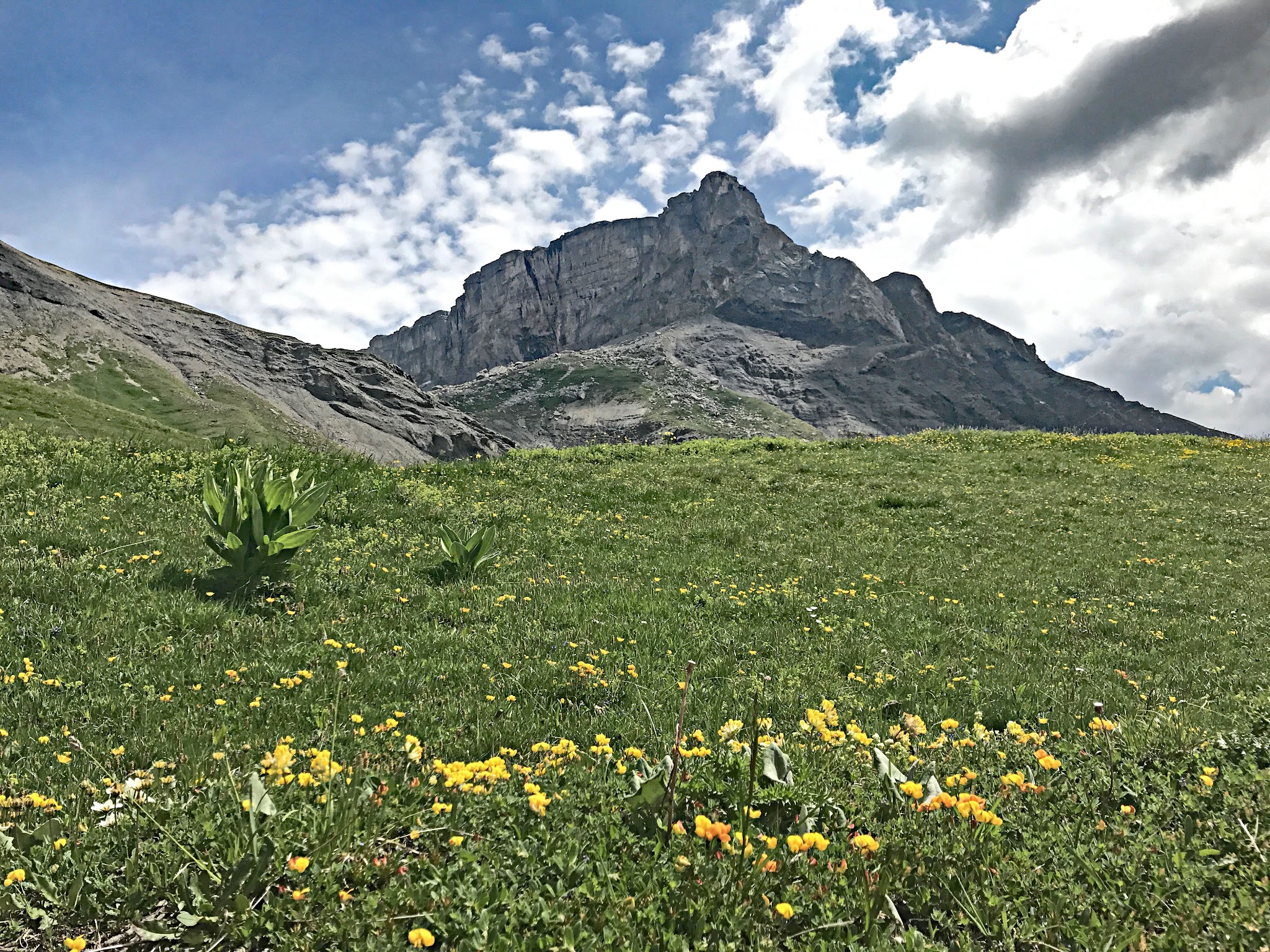 Cycling Sanetsch Pass, Switzerland - swiss countryside with swiss alps in background, Le Sérac (part of the Wildhorn massif)