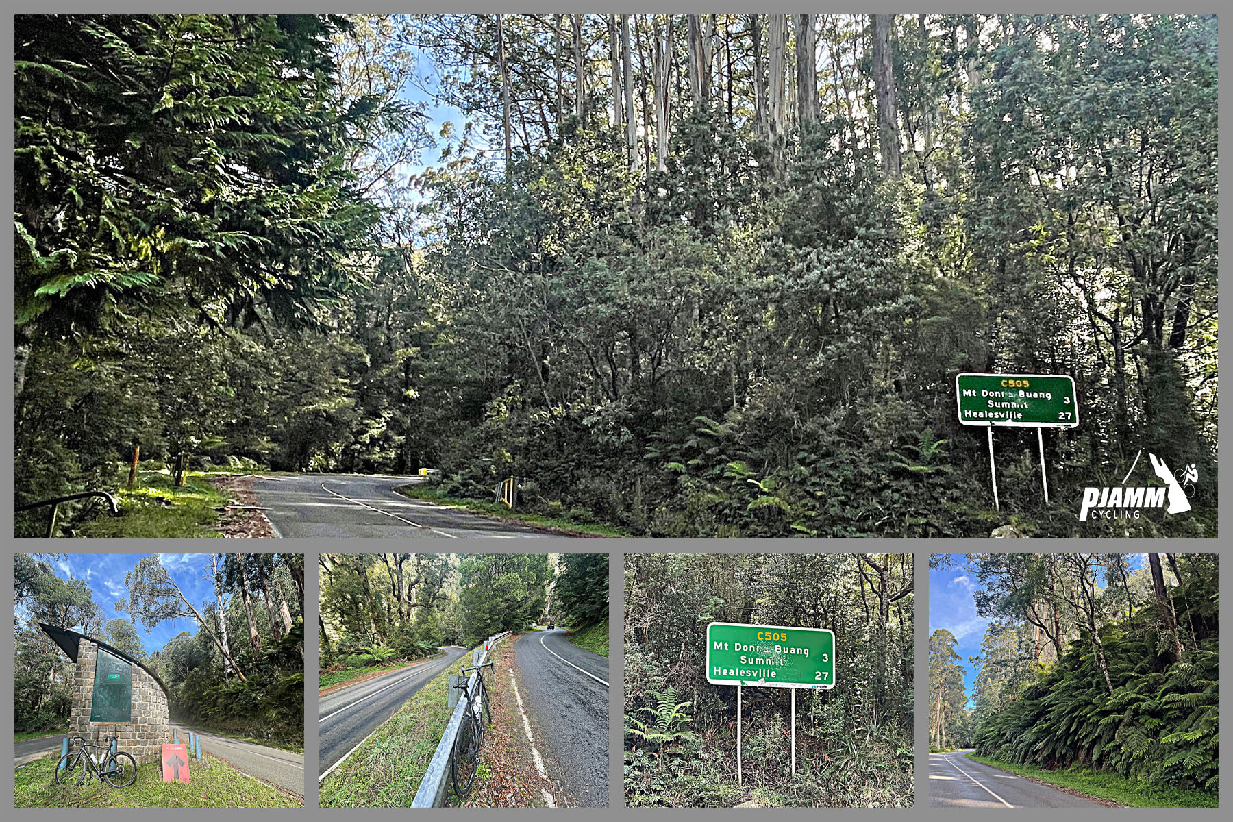 Cycling Donna Buang, Victoria, Australia dense forestation; signs for Mt. Donna Buang Summit