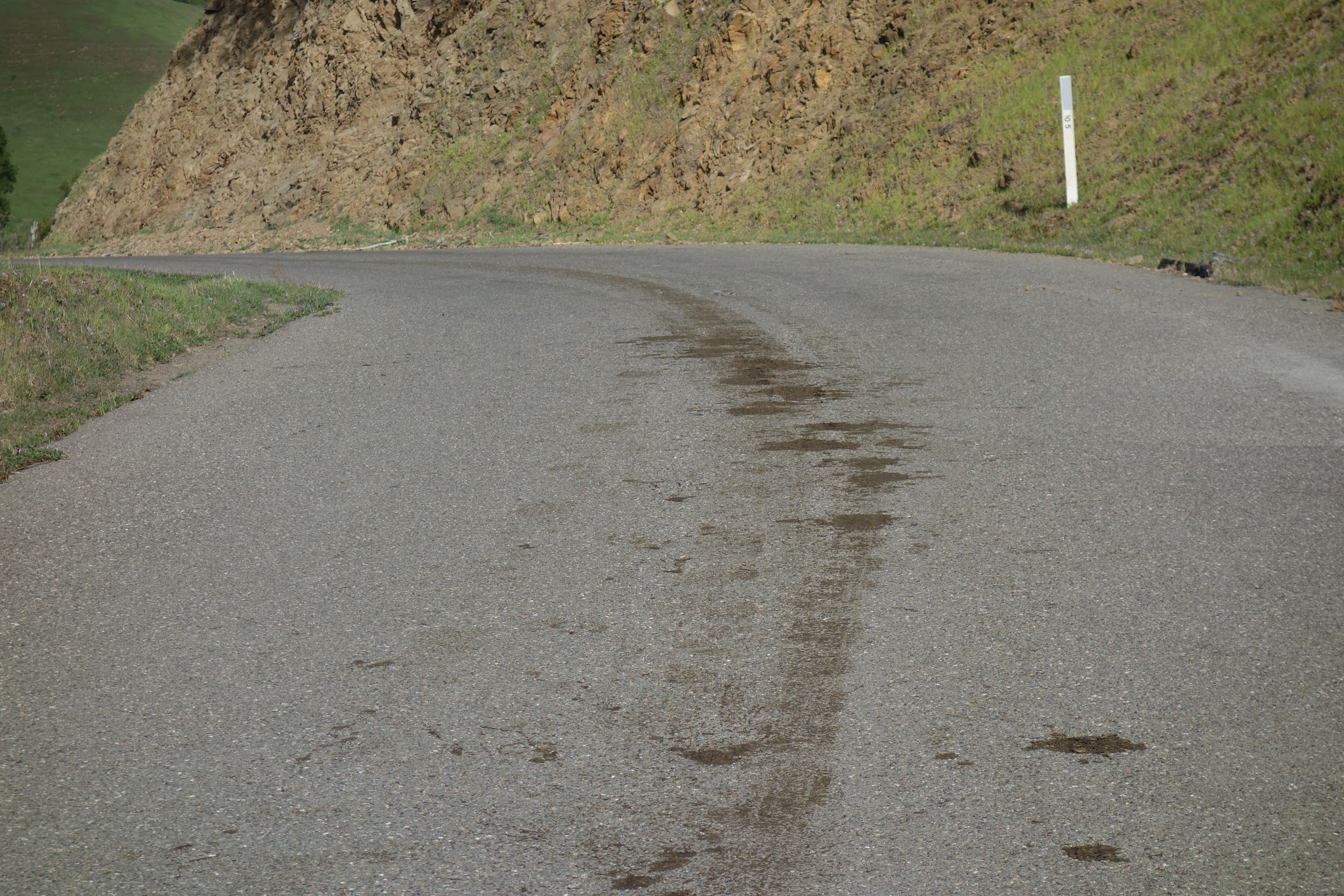 King Ridge Road - manure on roadway