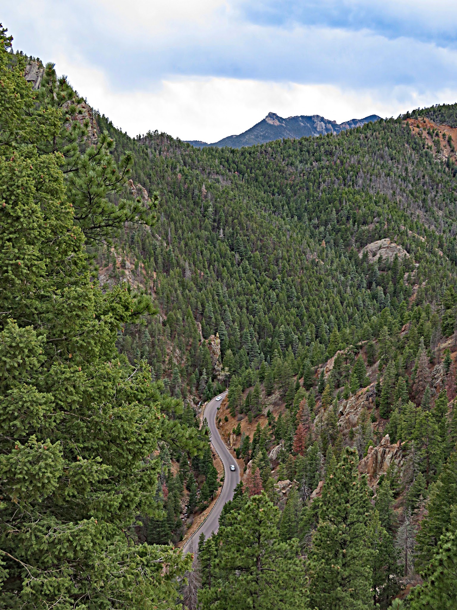 Cycling North Cheyenne Cañon, Colorado Springs - view looking down North Cheyenne Cañon from above, road snakes through canyon, surrounded entirely by thick evergreen tree forestation, mountains