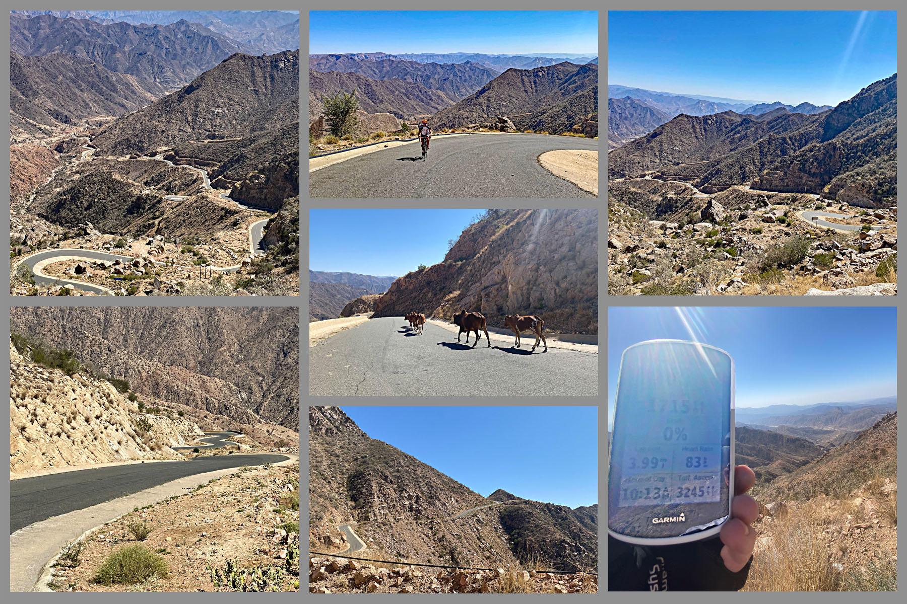 Cycling Rdom Pass, Asir Mountains  - photo collage, Garmin device shows 3,245 feet of elevation gain in four miles, goats crossing roadway, PJAMM Cyclist riding along roadway, views looking down the mountain at road switchbacking up