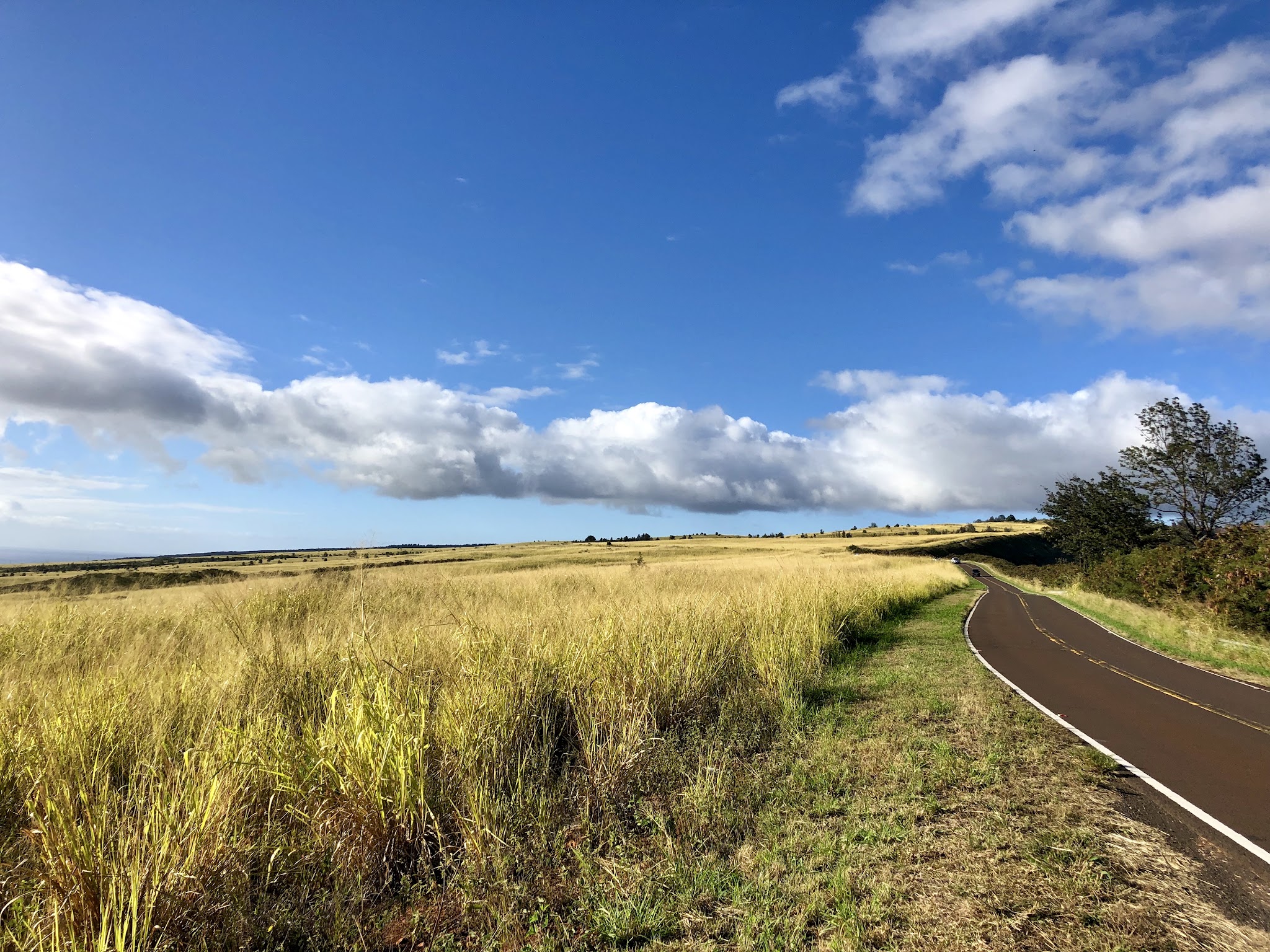 view from flat portion of two-lane roadway at Highway 550 route just after start and before intersection with Kokee