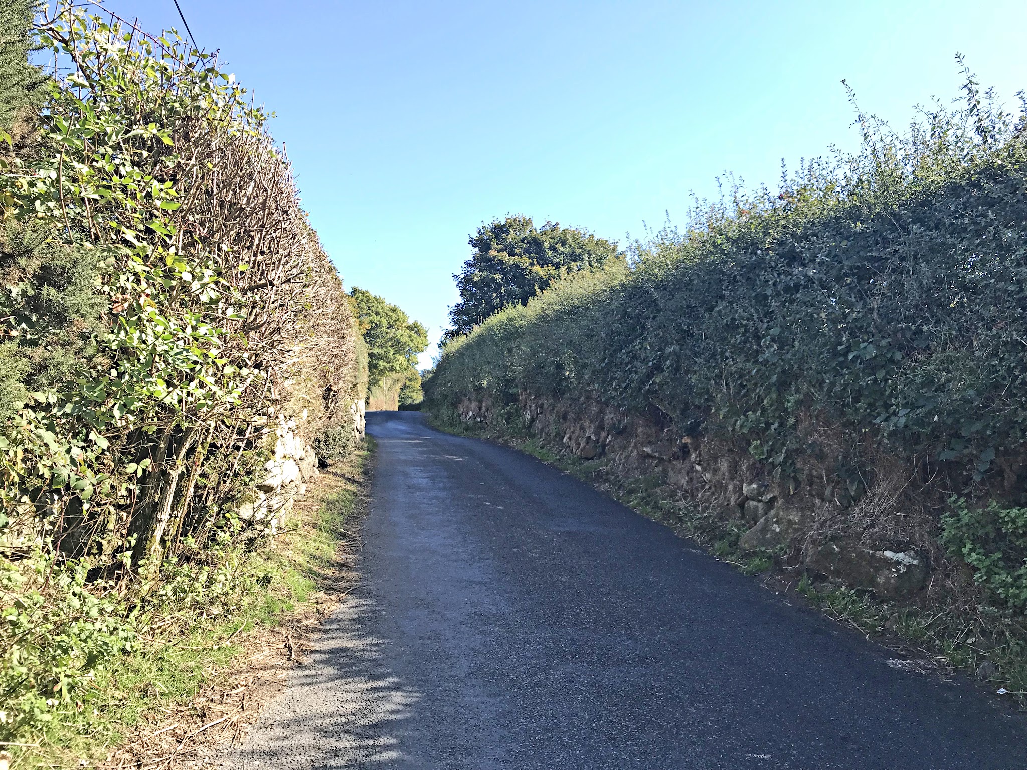 Cycling Widecombe - narrow, one-lane road surrounded in tall, thick hedges