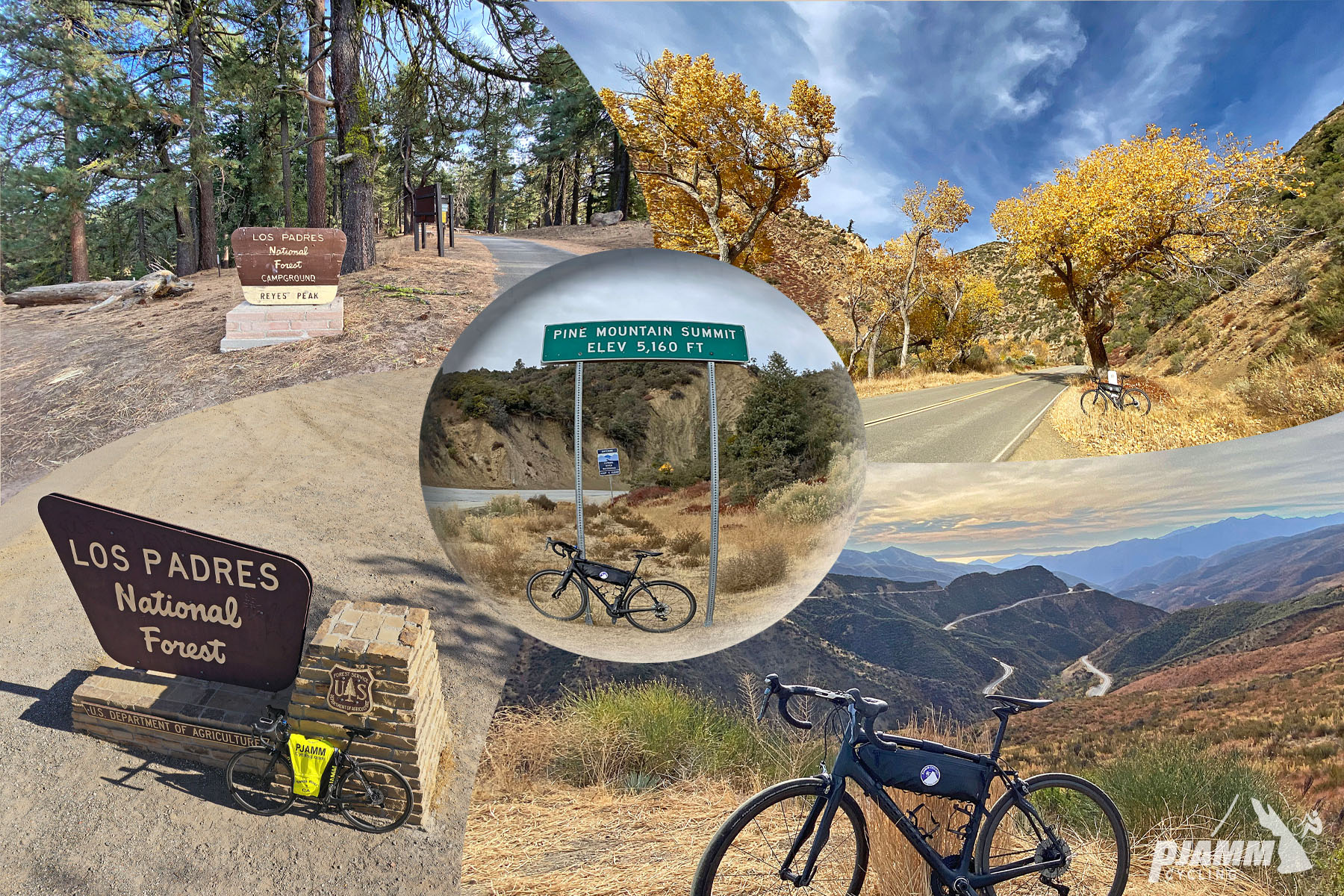 Cycling Highway 33 to Pine Creek Summit  - photo collage,  bike parked next to sign for Los Padres National Forest, and next to sign for Pine Mountain Summit, bike parked on hillside overlooking road snaking up mountainside, PJAMM Cycling logo in corner