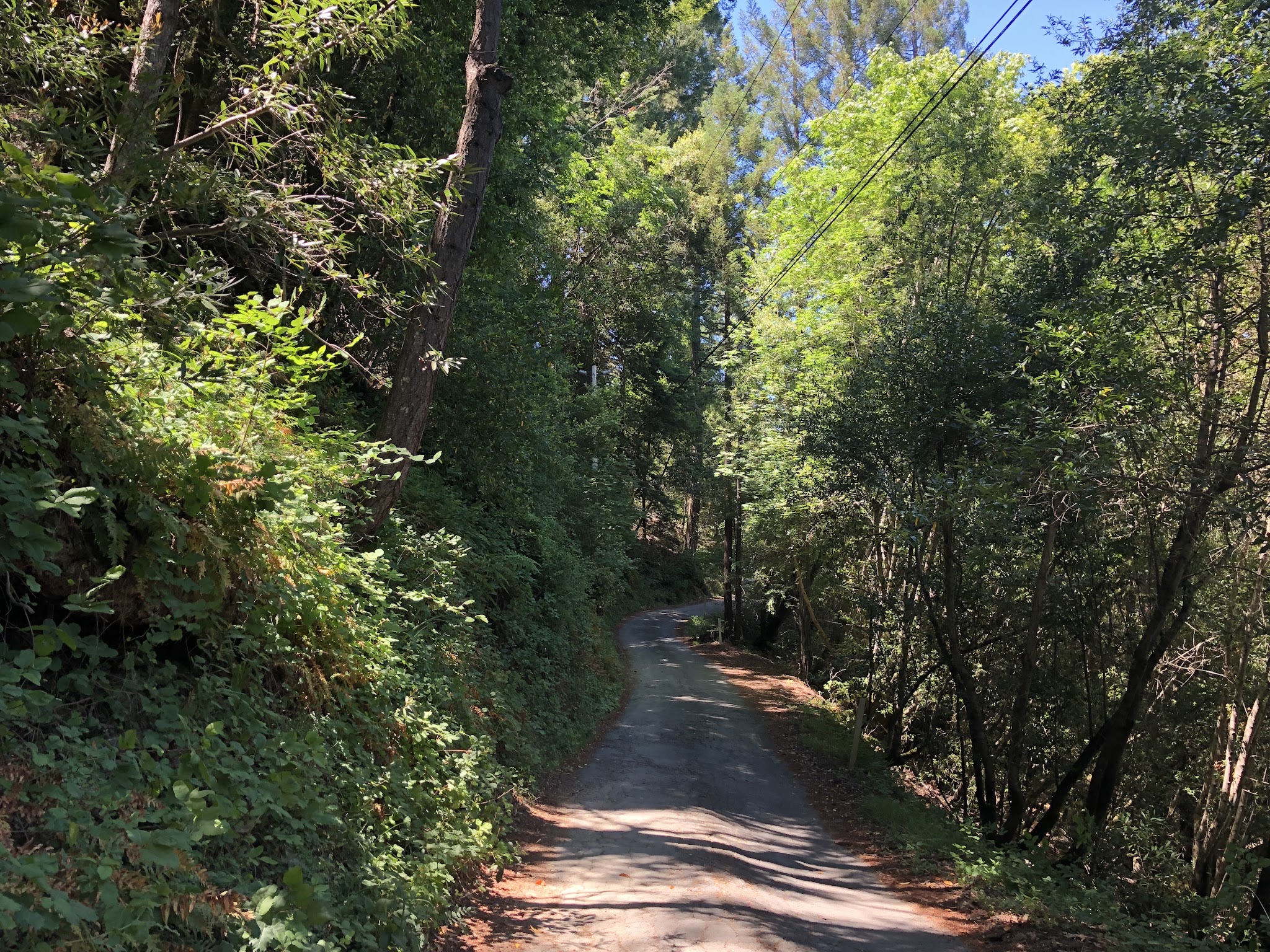 Old Cazadero Road