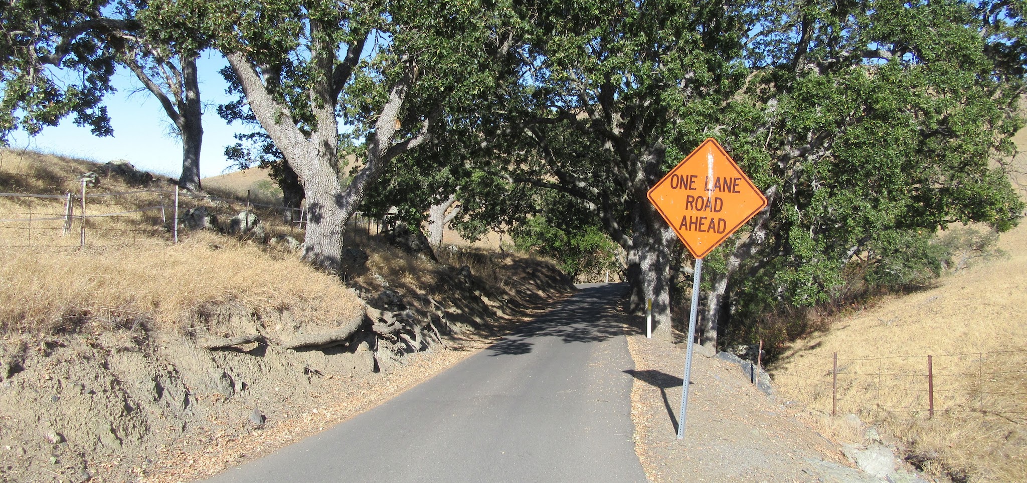 Bike climb Welch Creek Road - one lane road sign, roadway and oak trees
