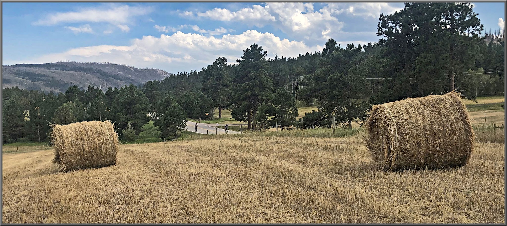 Cycling Rist Canyon East - large cylindrical hay bales in field