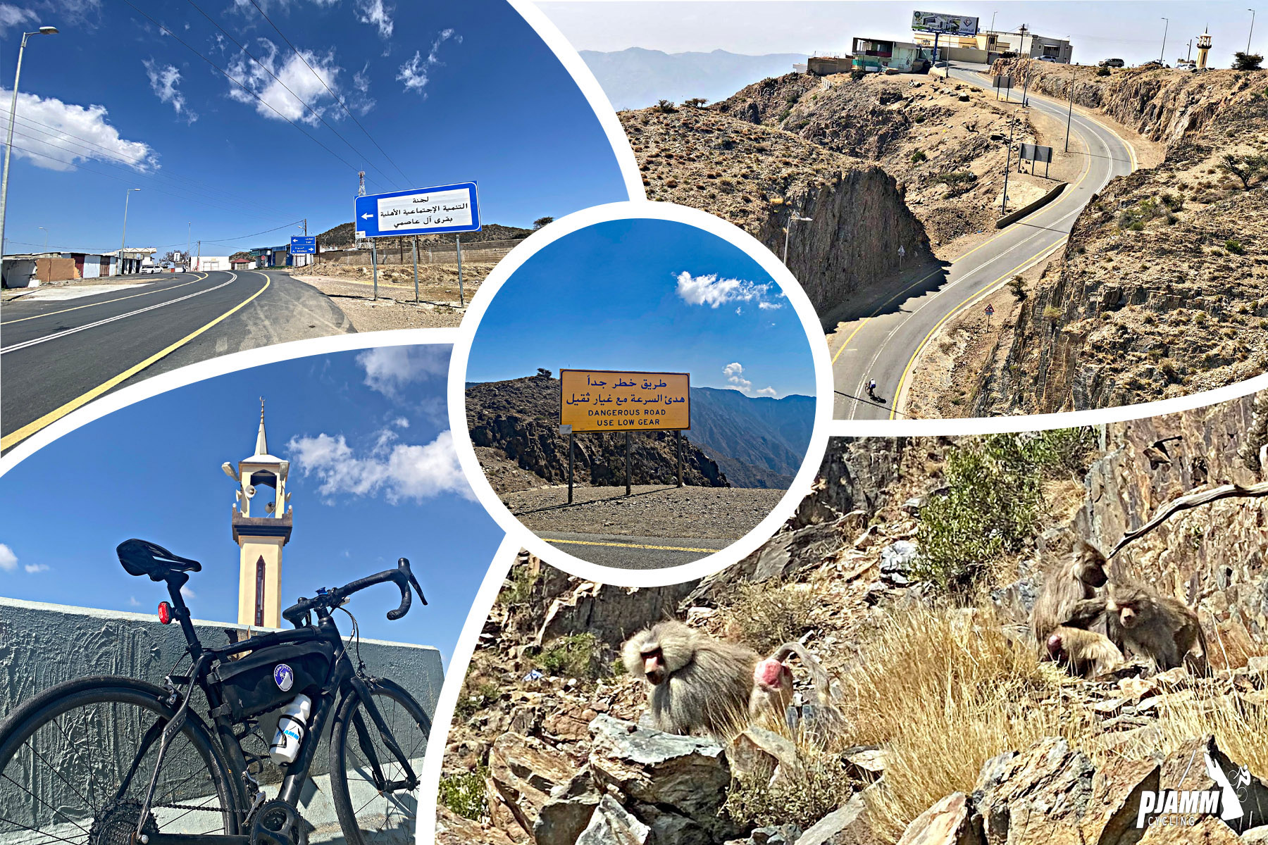Cycling Mount Souda, Saudi Arabia - photo collage, bike parked agains low guardrail, tower with sharp spire can be seen in distance, baboons camouflage in grass on hillside, yellow road sign, PJAMM Cycling logo in corner