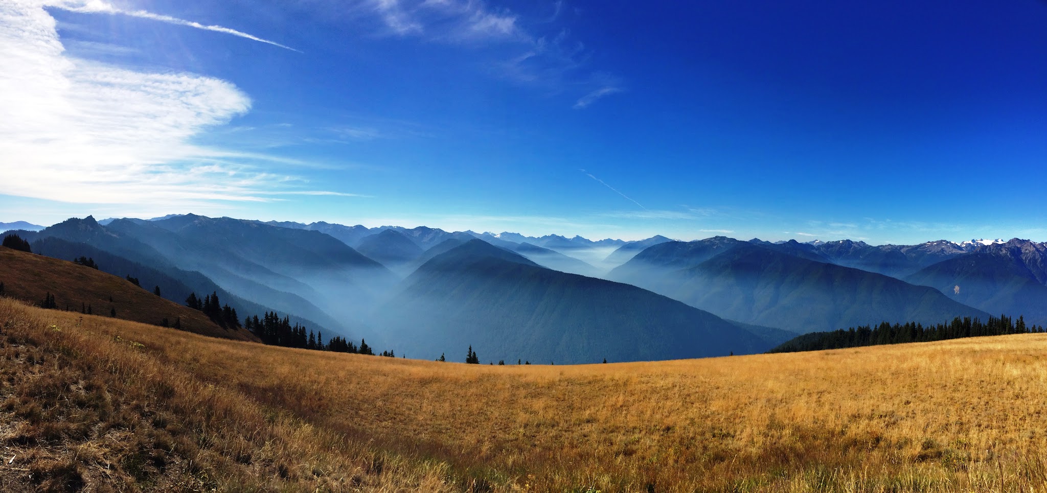Hurricane Ridge summit with clouds laying in canyons between mountain ridges