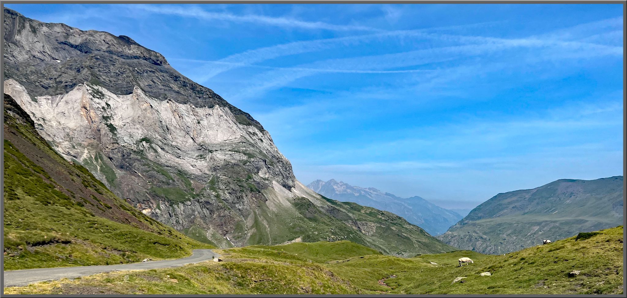scenic views show sheep grazing in green grass on hillside, Pyrenees mountains