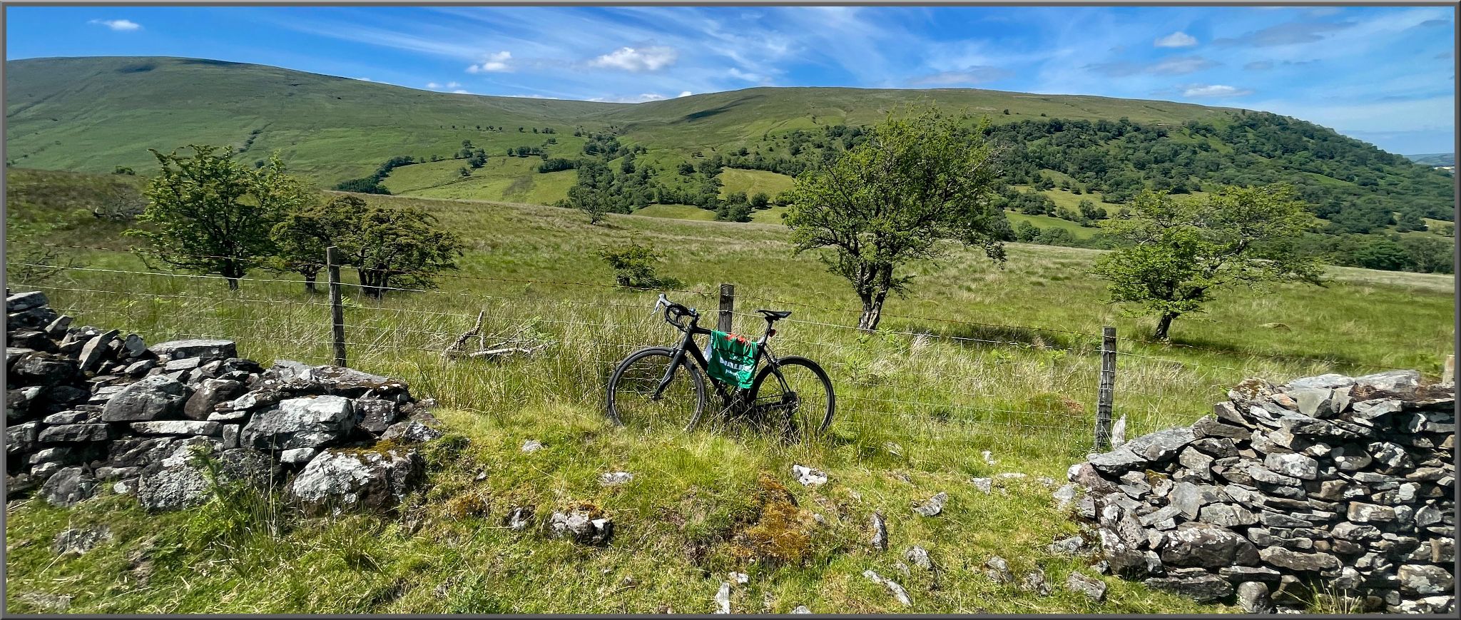 bike parked along wire fence in grass along roadside, pastureland