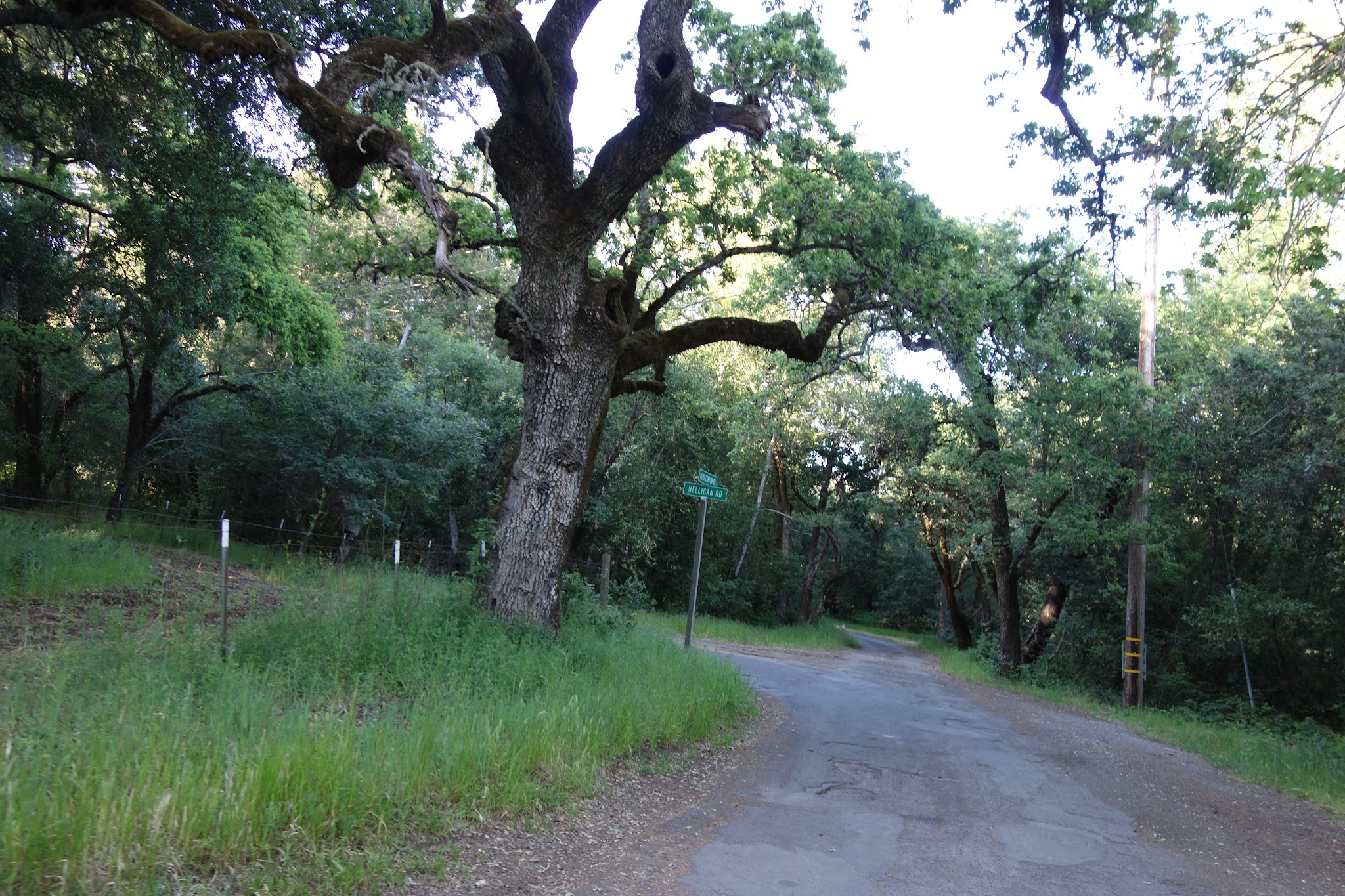 DSC02189.JPG