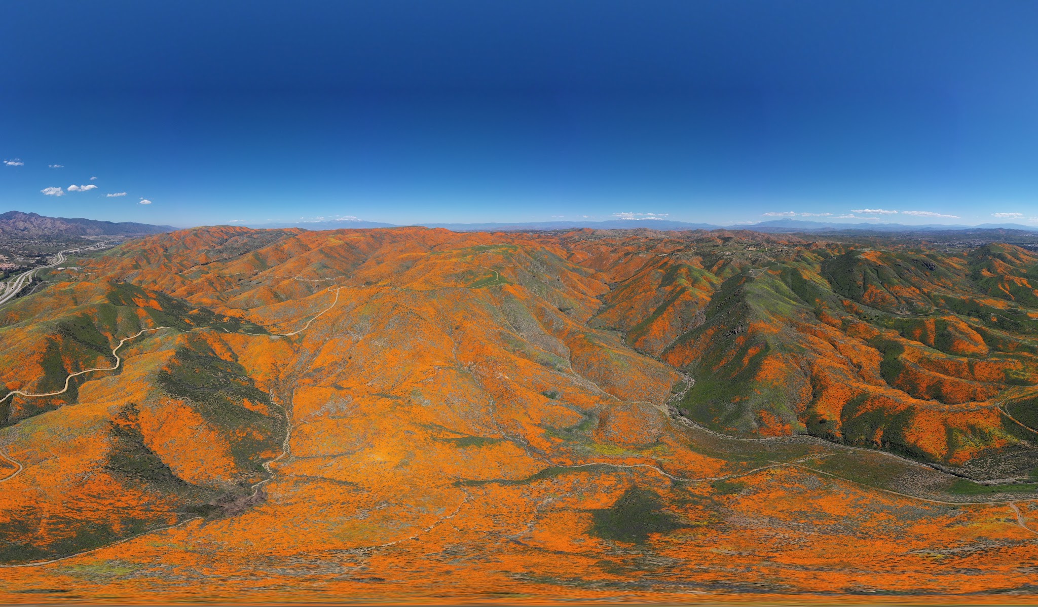 Cycling the Super Bloom - Lake Elsinore - aerial drone photo of road and poppy bloom