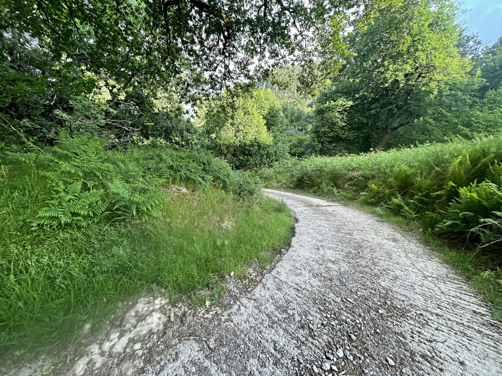 traction grooves etched into cement roadway, steep segment of road
