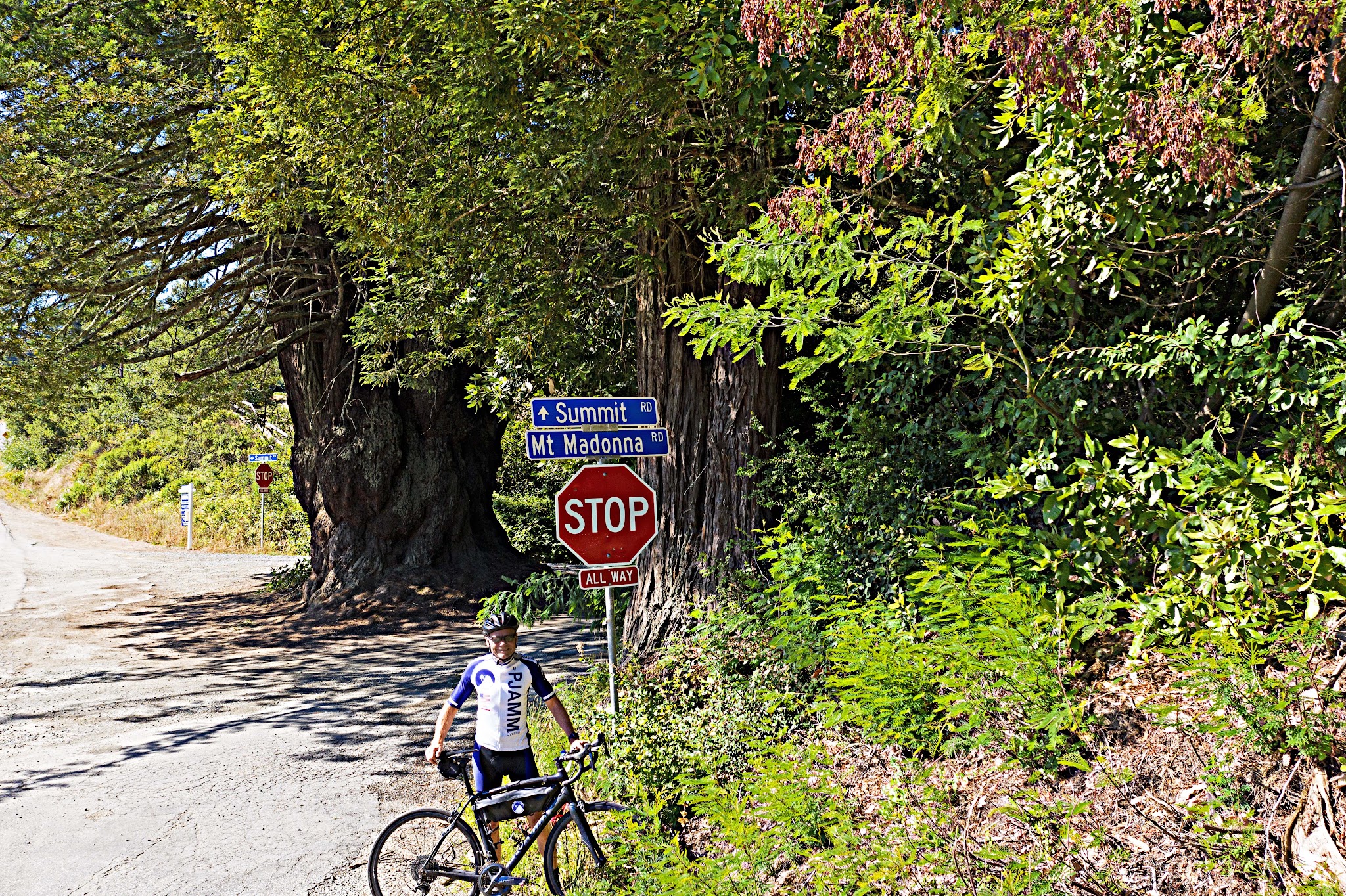 Cycling Mt. Madonna, Santa Cruz Mountains - John Johnson wearing PJAMM Cycling jersey with bike standing in front of road signs for Mt. Madonna Road, Summit, large redwood trees, narrow one-lane roadway