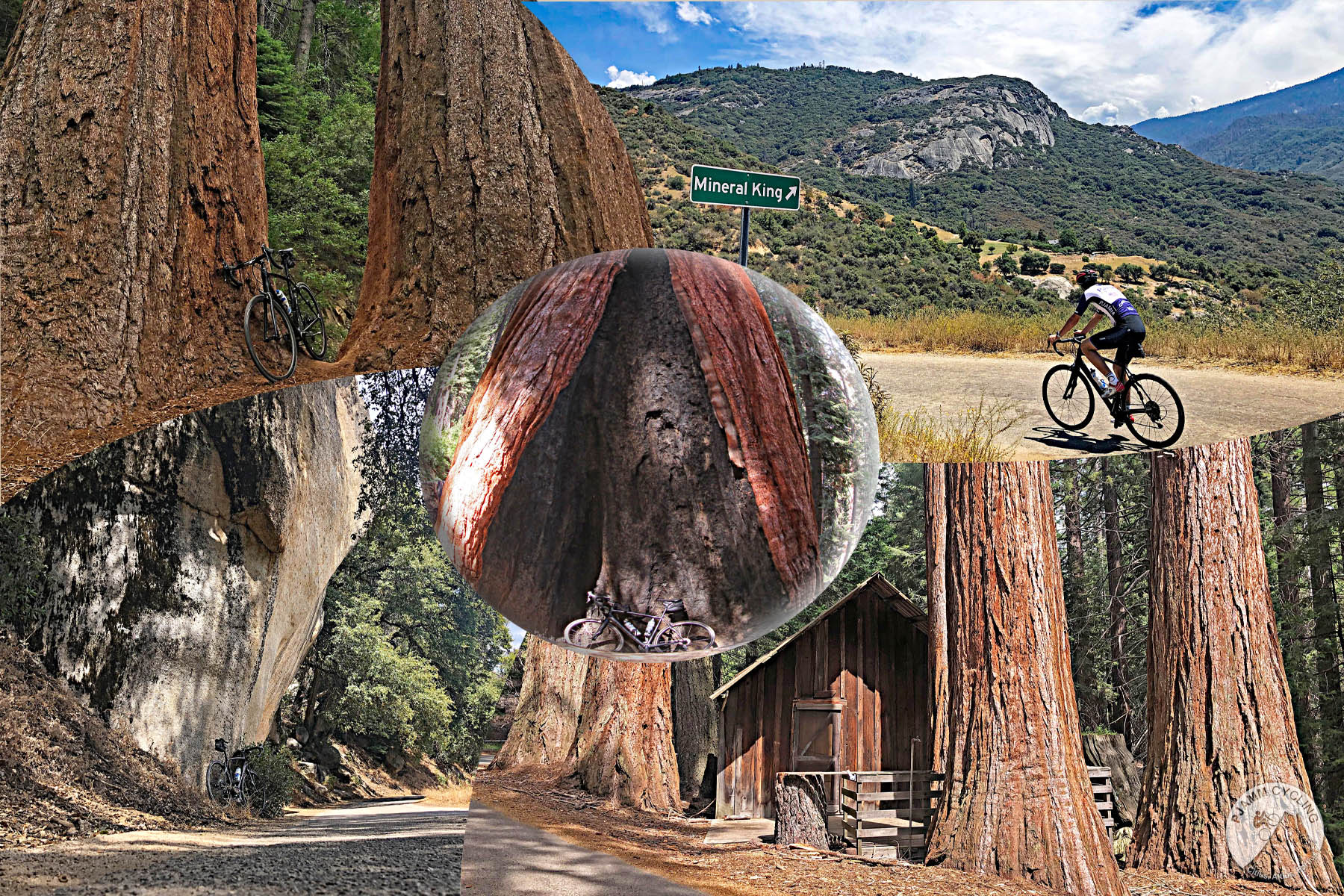 California's most epic bike climbs - Biking on Mineral King Road - rock and narrow road