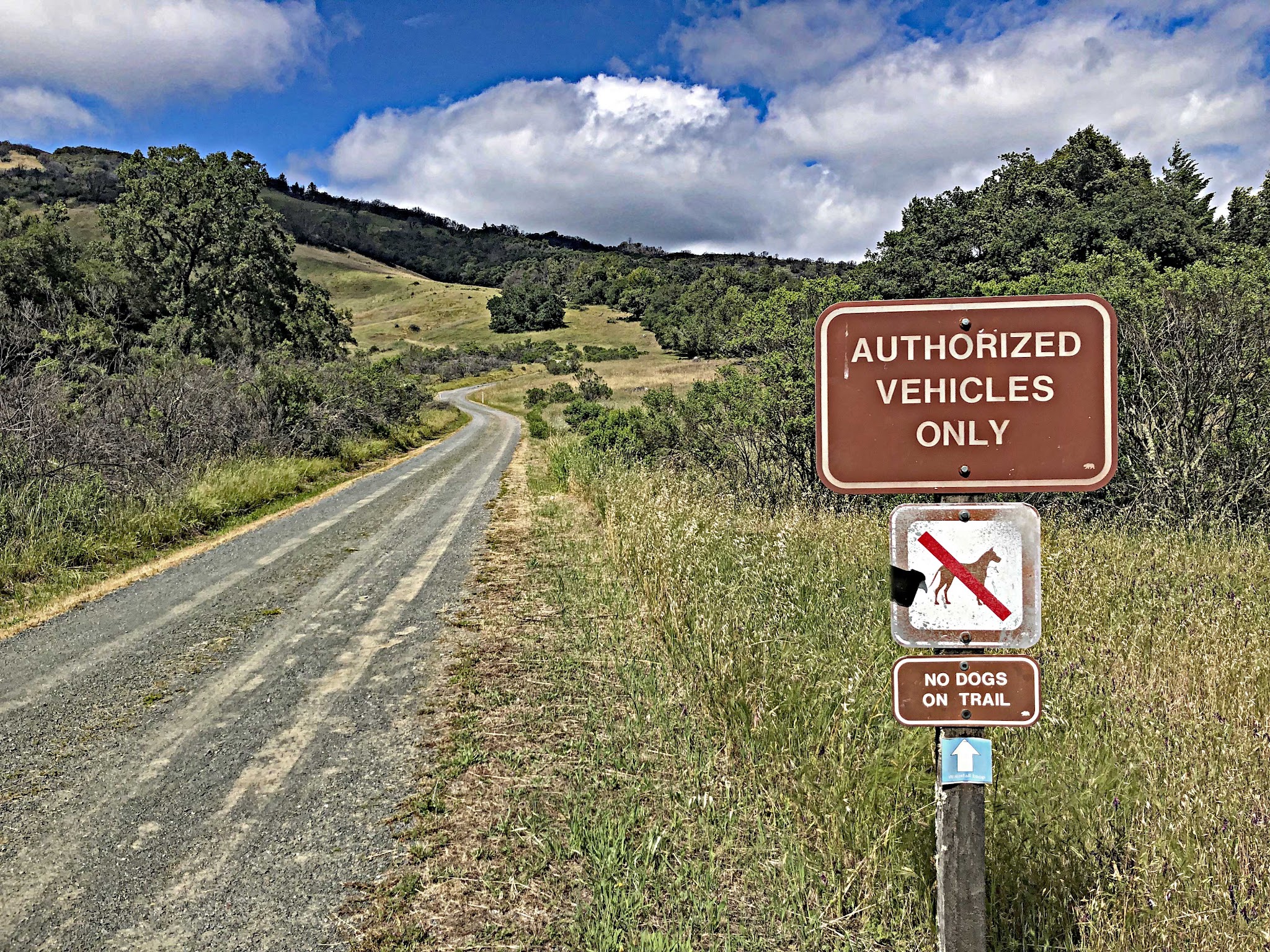 Climb Bald Mountain by bike - sign and gravel section