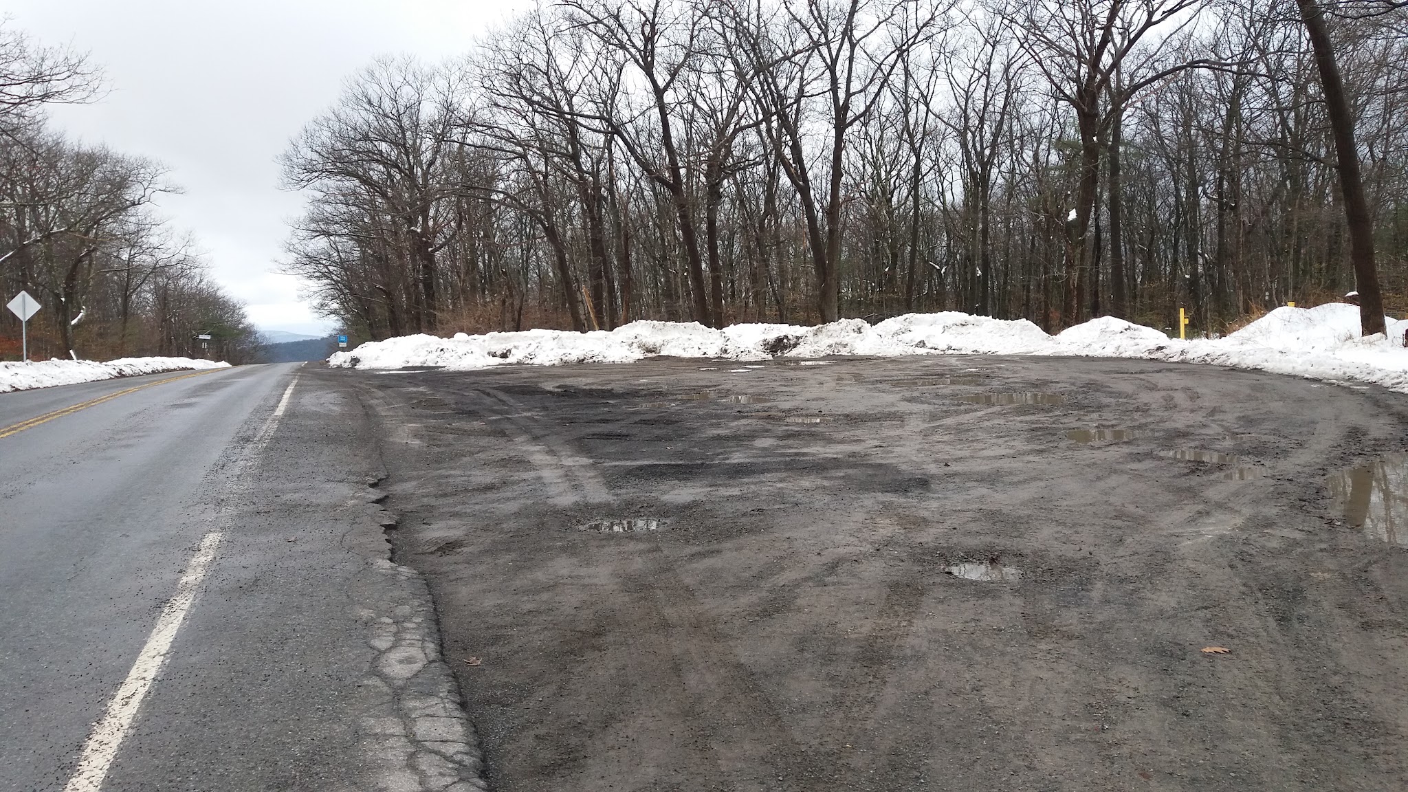 Cycling Route 44 East, Pennsylvania - parking lot at climb's top, surrounded by snow and leafless trees