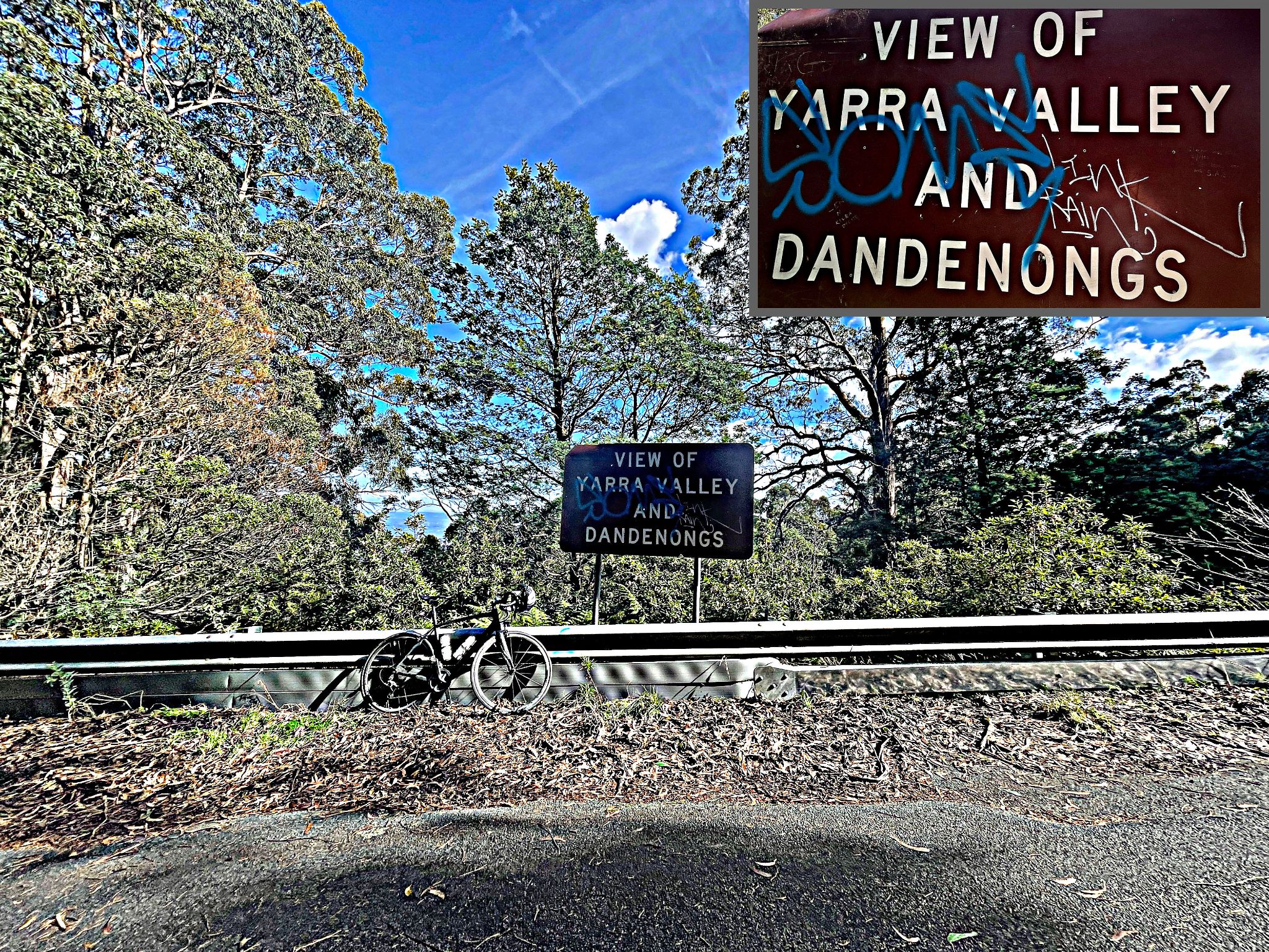 Cycling Donna Buang, Victoria, Australia bike parked in slight break in dense forestation next to sign reading "View of Yarra Valley and Dandenongs