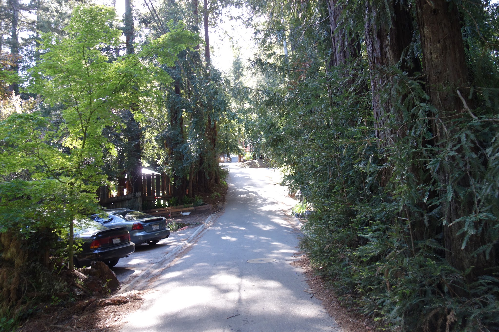 DSC01877.JPG