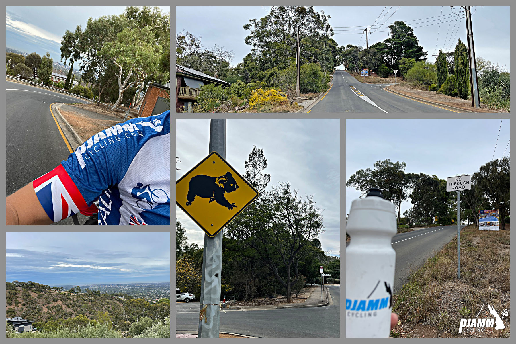 photo collage includes views of Adelaide and road sign warning of koala crossing