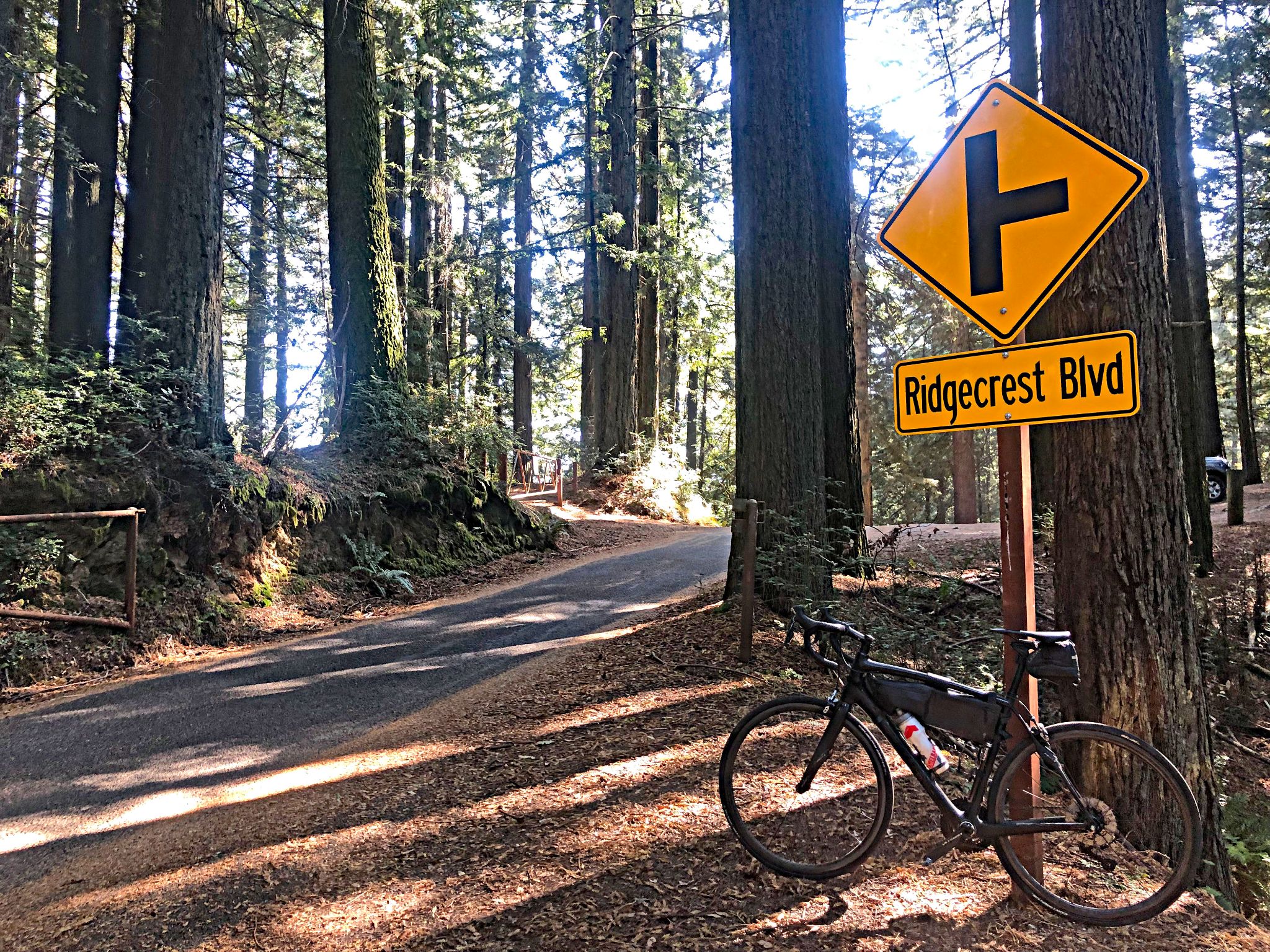 Bike parked against sign for Ridgecrest Boulevard, surrounded by redwood trees