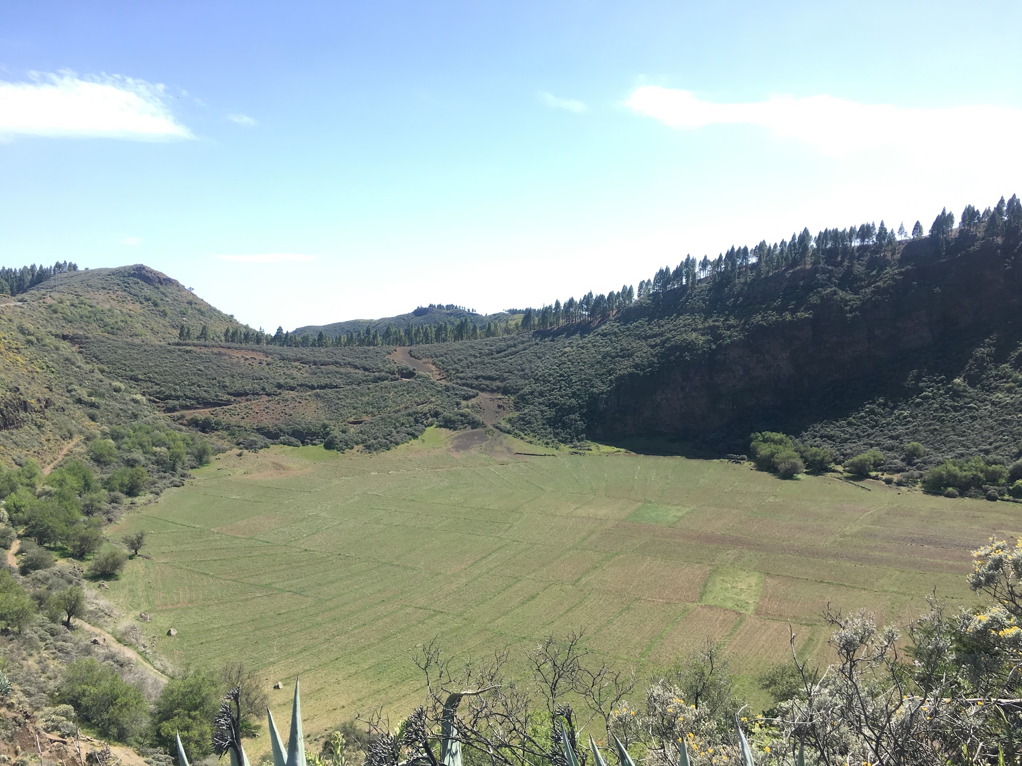 view looking down on Caldera Los Marteles Viewpoint 