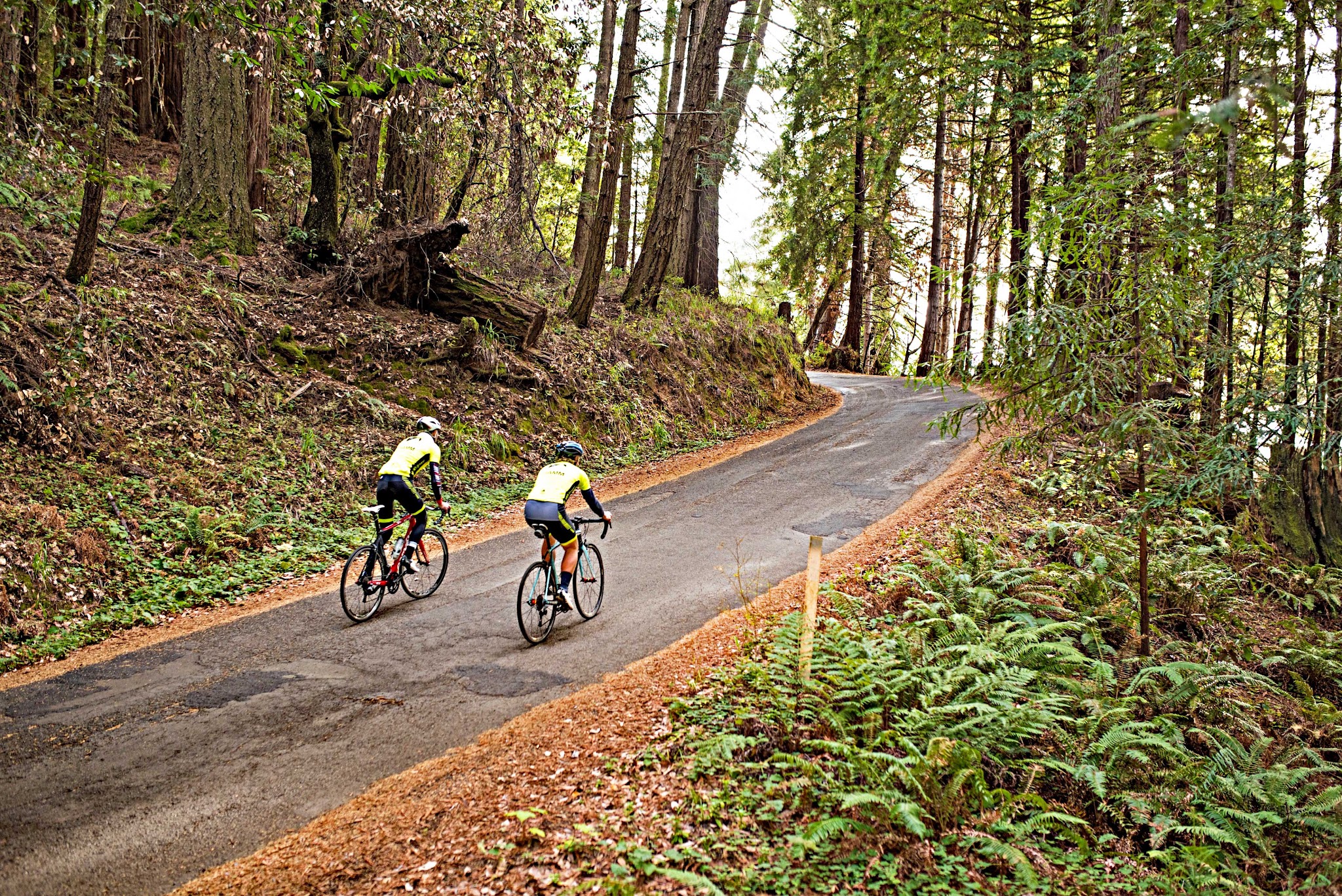 Fort Ross Road