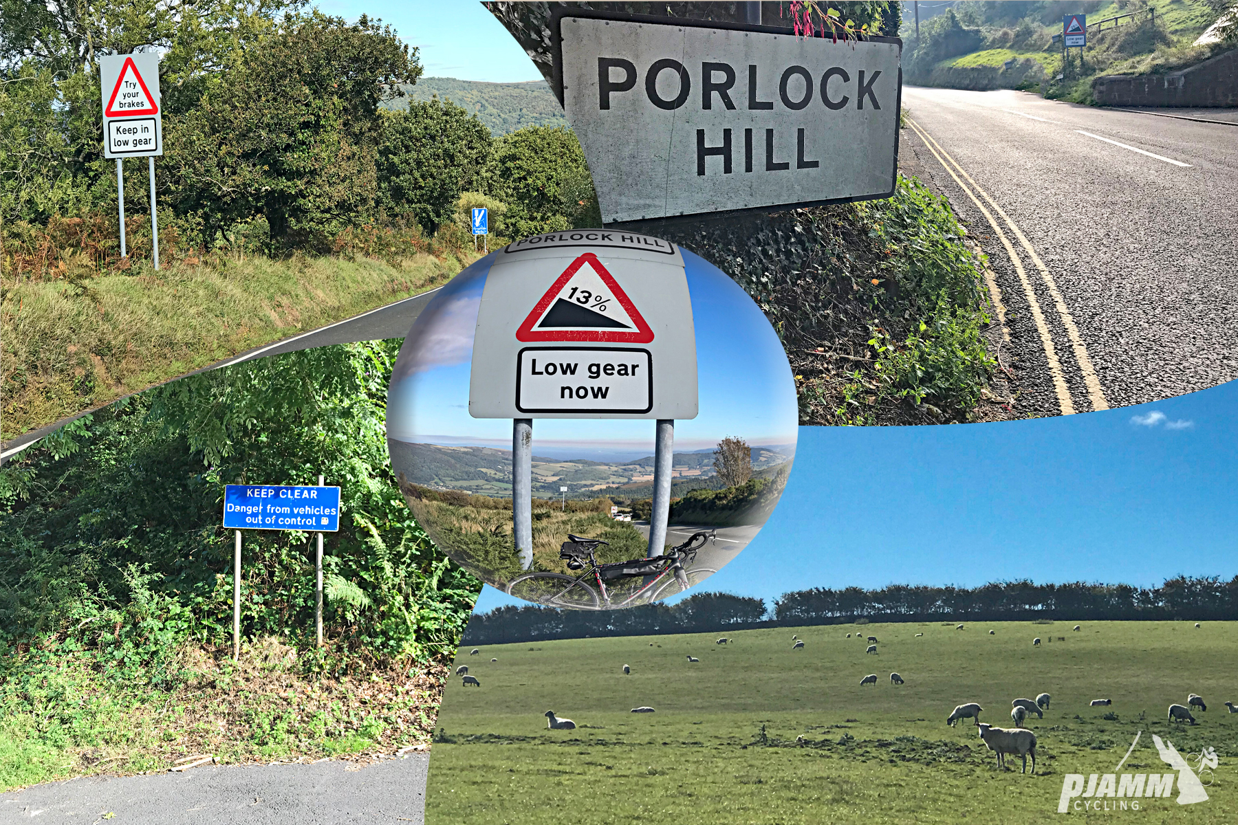 Cycling Porlock Hill, England - road signs for Porlock Hill, and advertising 13% grade, reminding to use low gear, sheep grazing in pastureland on side of road
