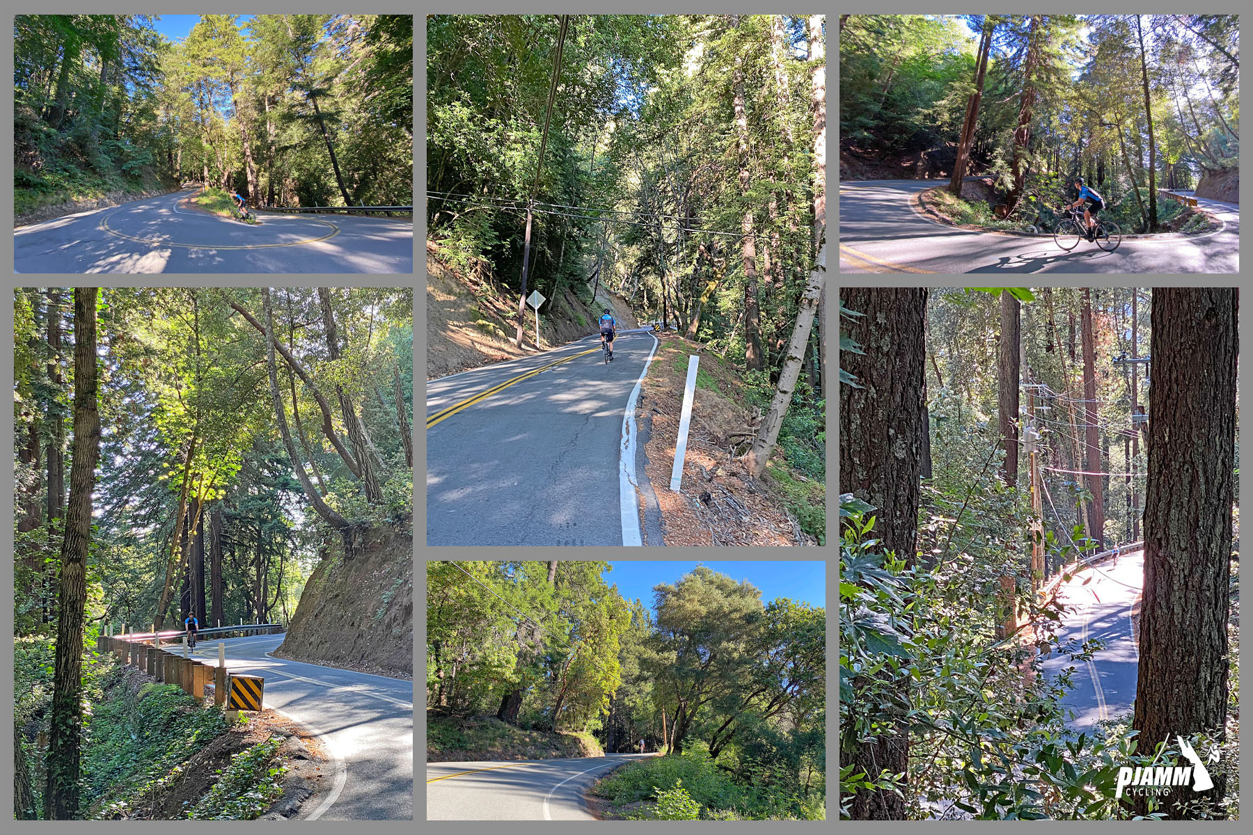 photos along the second half of the climb, redwood lined roadways