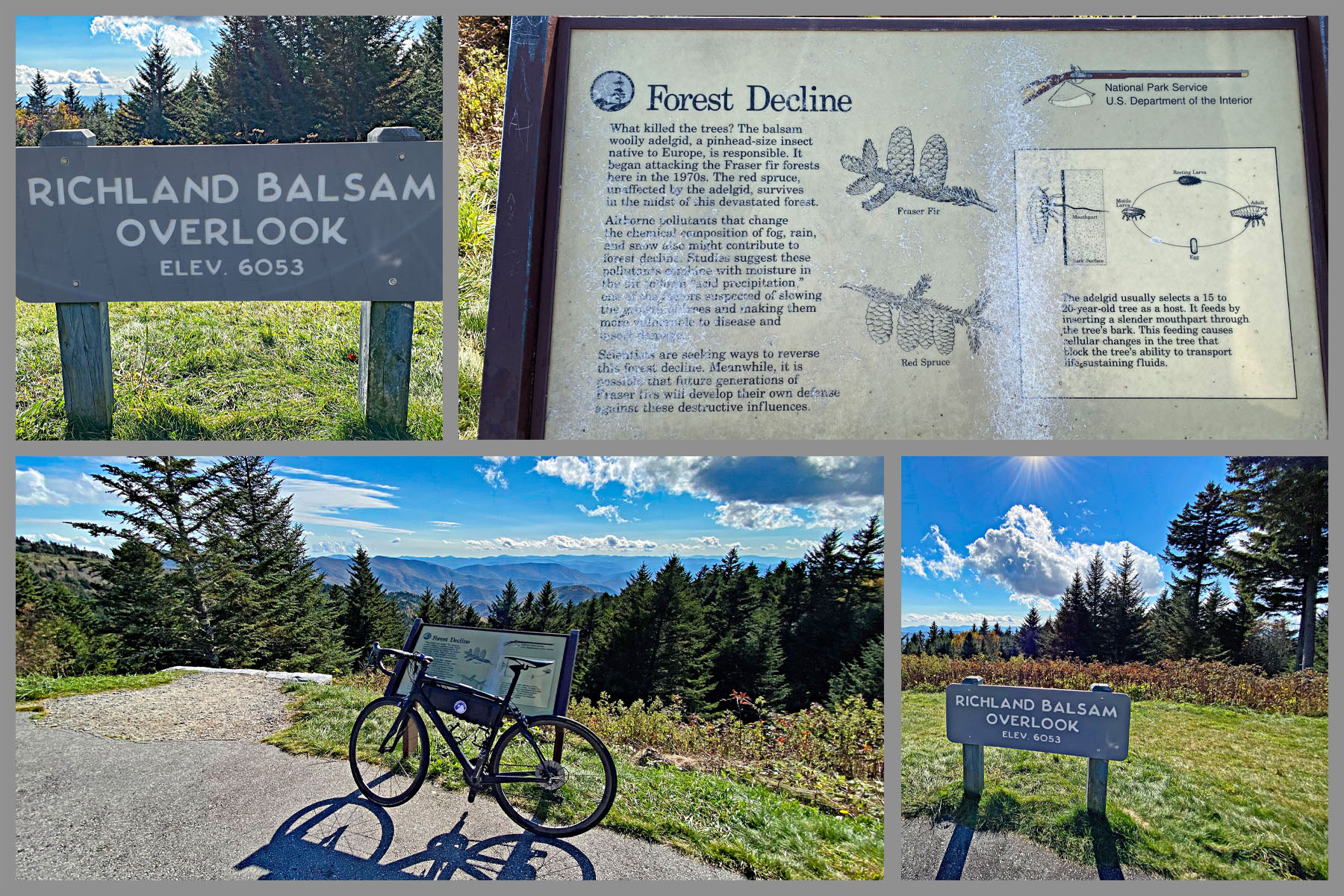 Cycling Richland Balsam, Blue Ridge Parkway - scenic overlook sign reads "Richland Balsam Overlook," informational sign on forest decline, bike parked against signage, bright blue skies, tall evergreen trees, fall foliage