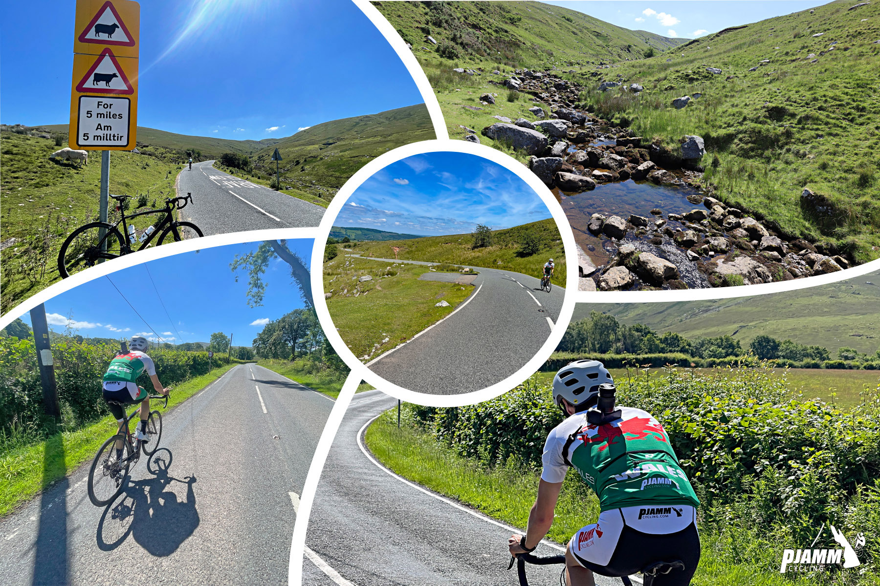 photo collage shows PJAMM Cyclists riding along roadway, signs for cattle crossing; small stream
