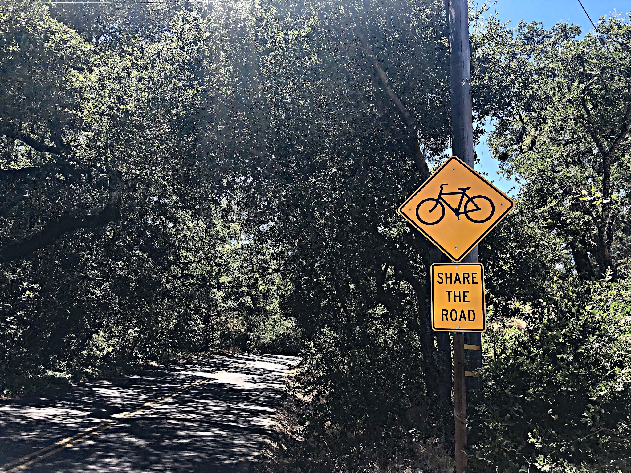 Bicycle ride Spring Mountain Road - share the road sign