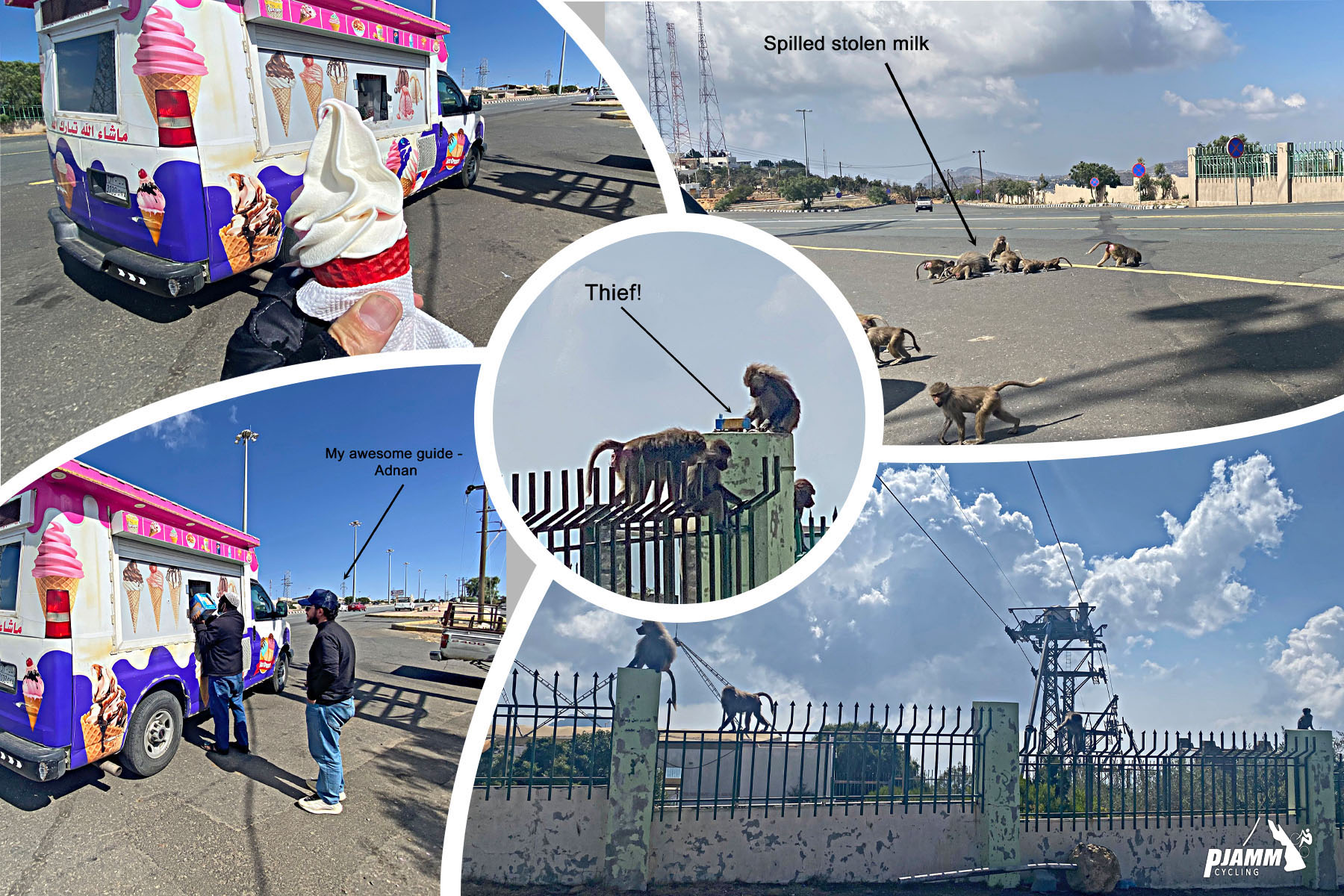 Cycling Mount Souda, Saudi Arabia - photo collage shows John stopping for ice cream at a brightly colored ice cream truck, as well as a baboon on top of a fence who had just stolen milk from the truck, and a bunch of baboons fighting over the stolen milk