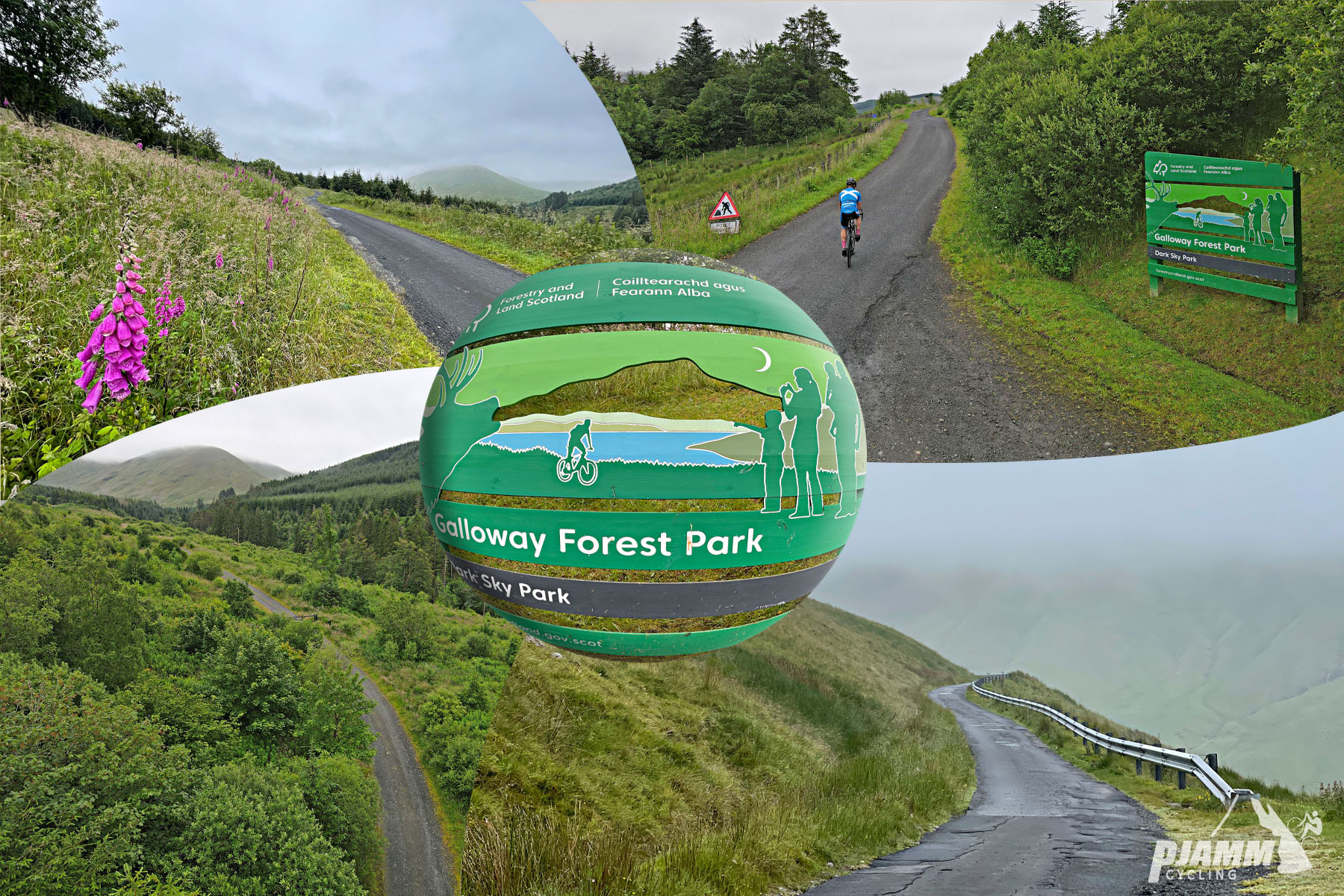 Cycling Nick of the Balloch, Scotland photo collage shows tiny, one-lane roadway, green pastureland, green informational sign for Galloway Forest Park, pink foxglove flowers