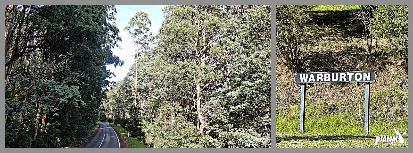 Cycling Donna Buang, Victoria, Australia climb start in Warburton, Western Australia