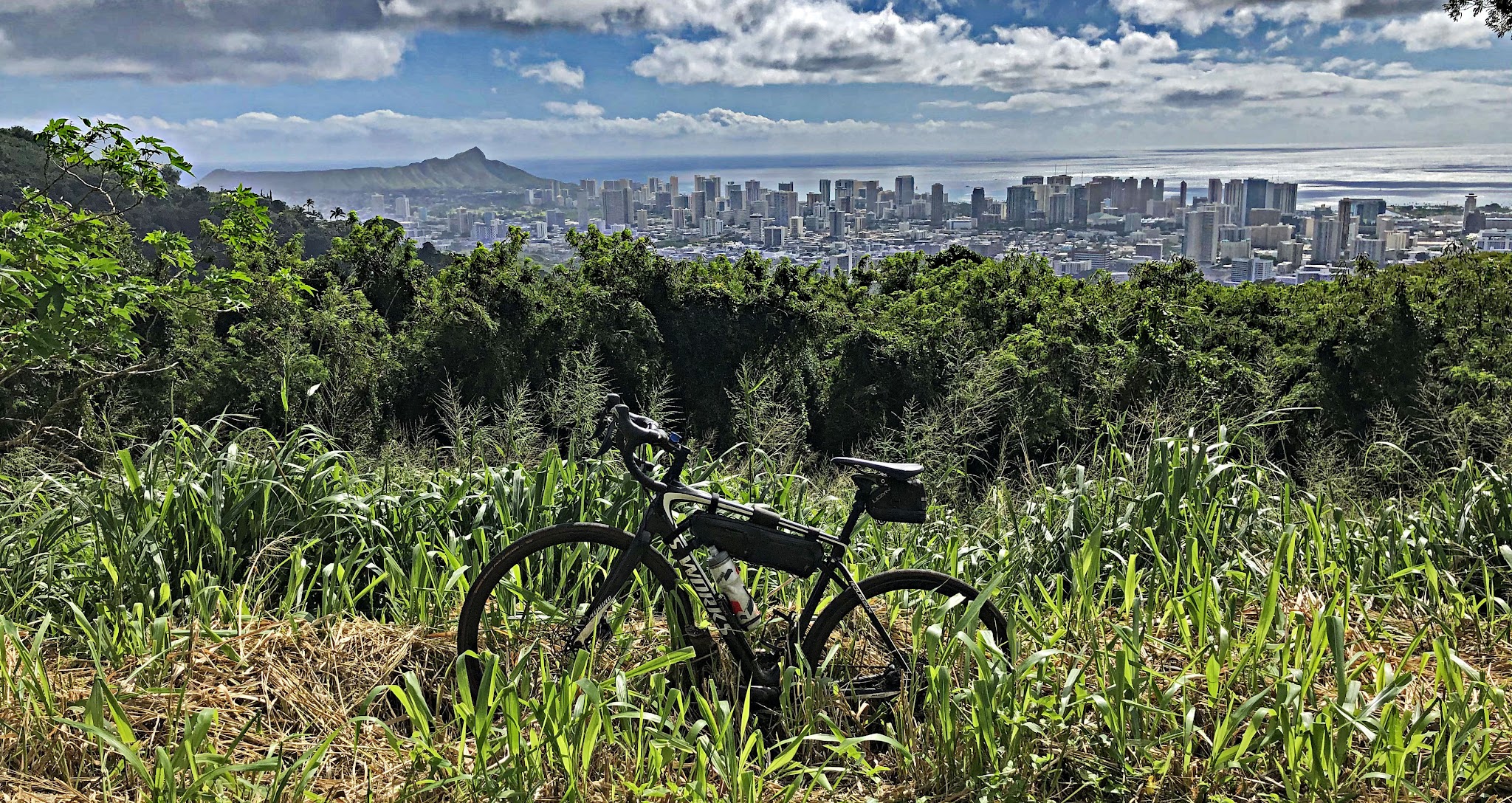 Tantalus Drive bike climb - Diamond Head through trees
