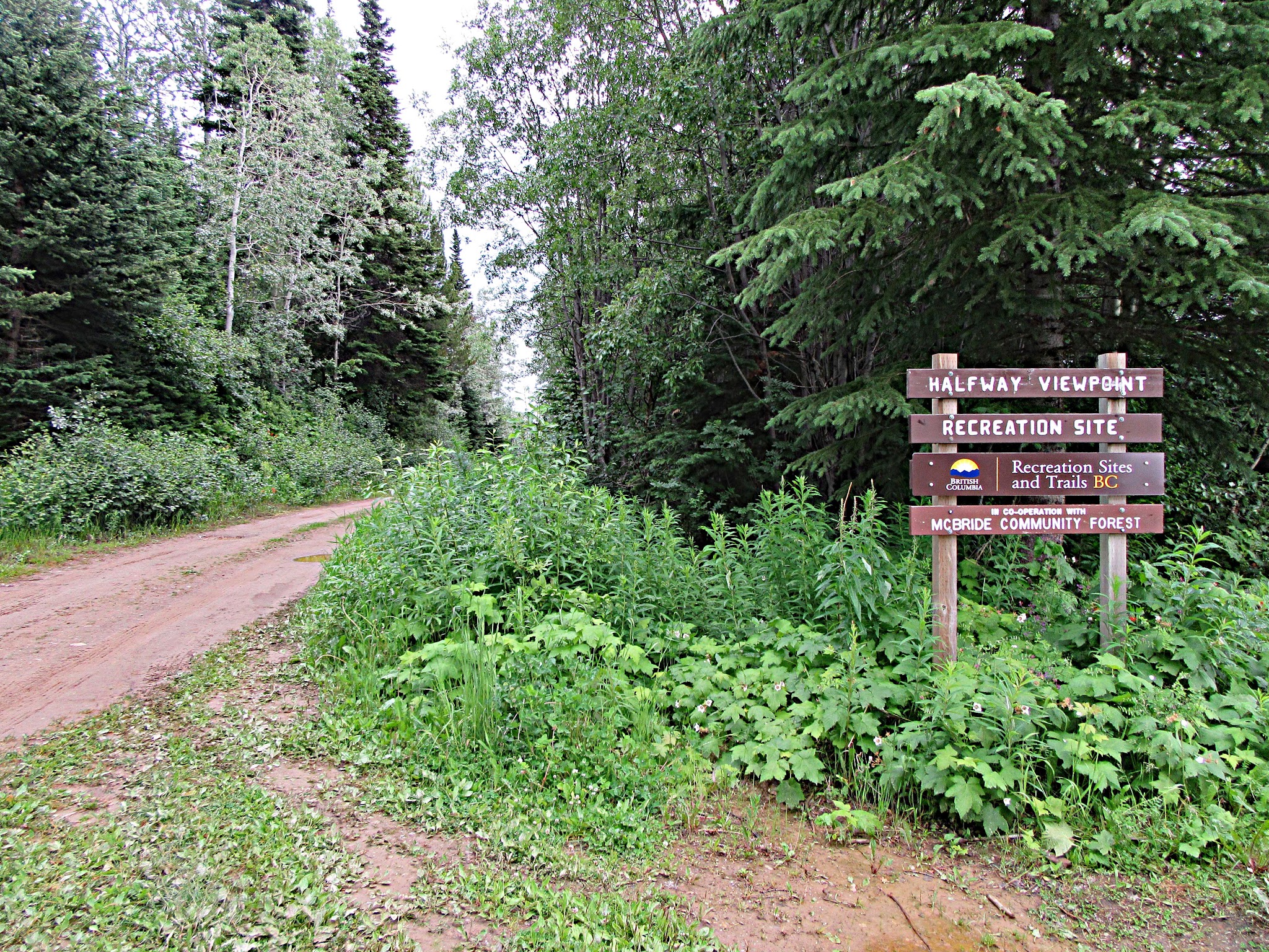 Bicycle ride McBride Peak - road and road sign