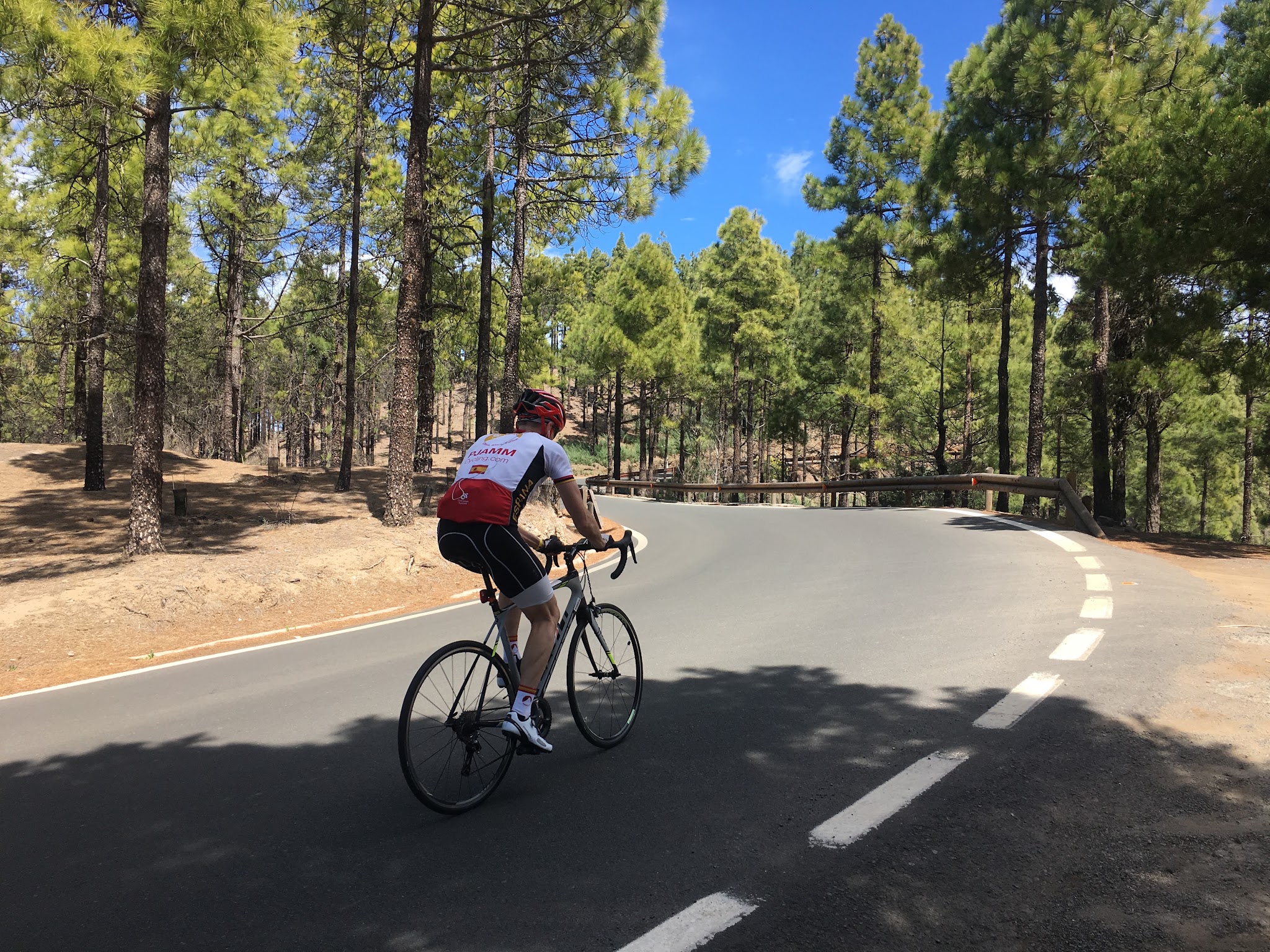 PJAMM Cyclist rides on roadway surrounded by evergreen trees, alpine setting