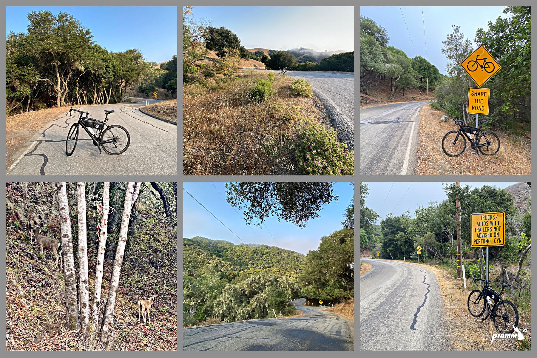 photo collage shows views along the climb, PJAMM Cycling logo in corner, deer stand in brush on roadside, bike parked in center of roadway and next to signs reading "Share the Road," and "Trucks/Autos with Trailers not advised on Prefumo Canyon"