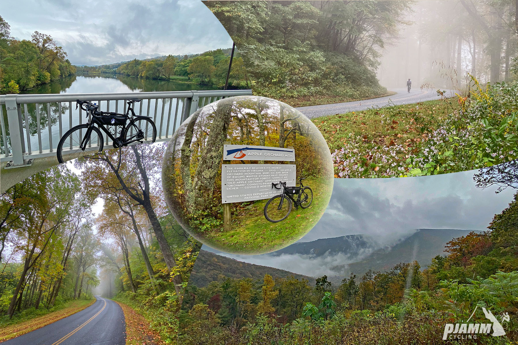 Cycling Thunder Ridge, Blue Ridge Parkway, Virginia - photo collage, bike parked at various locations on climb (on guardrail on a bridge, in front of a large informational sign), two-lane, pristine roadway surrounded by tall, misty trees, fog line across mountains, PJAMM Cycling logo in corner