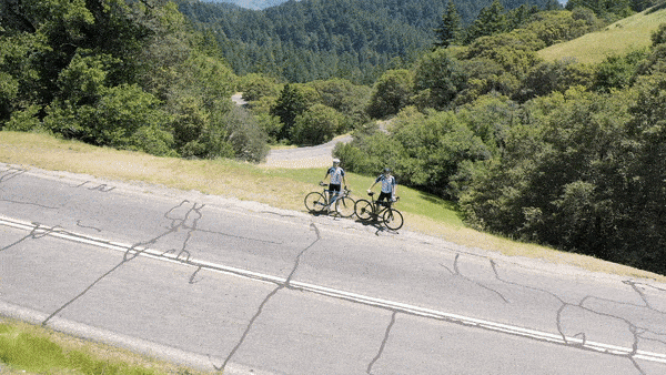 Climbing Mt. Tam via Panoramic Hwy North by bike - hillside with loan tree, fog