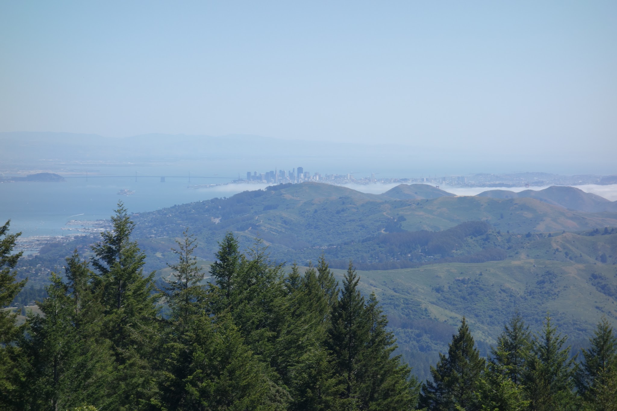 Mt. Tamalpais from Fairfax Bolinas Road cycling Mt. Tamalpais from Fairfax Bolinas Road - view of San Francisco and the San Francisco Bay from the top.