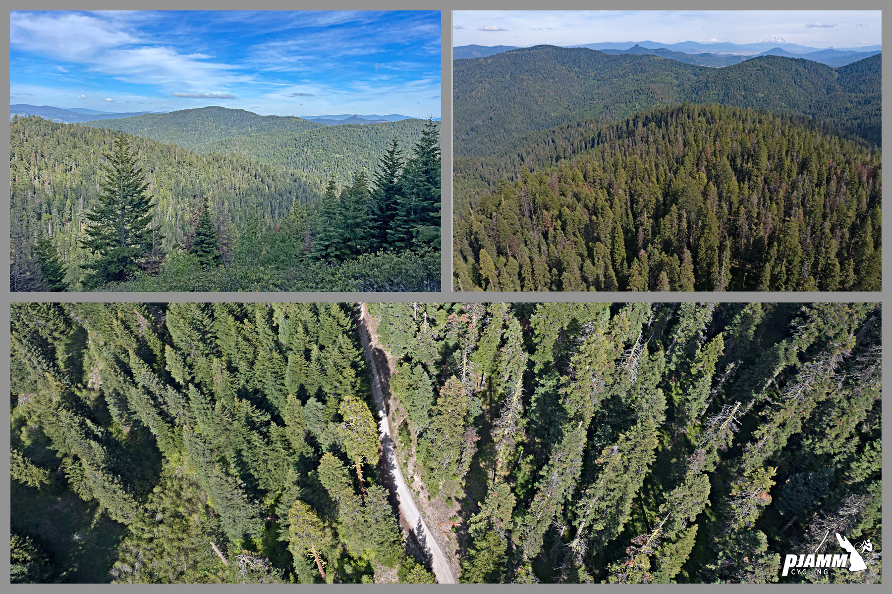 Cycling Mt. Ashland, Oregon via Loop Road: photo collage shows aerial drone views of thick forestation covering most of the climb