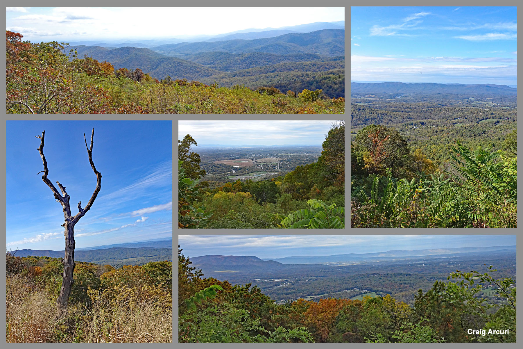 Cycling Skyline Drive, Virginia Cycling Skyline Drive, Virginia - photo collage, fall foliage throughout the park, PJAMM Cycling logo in corner